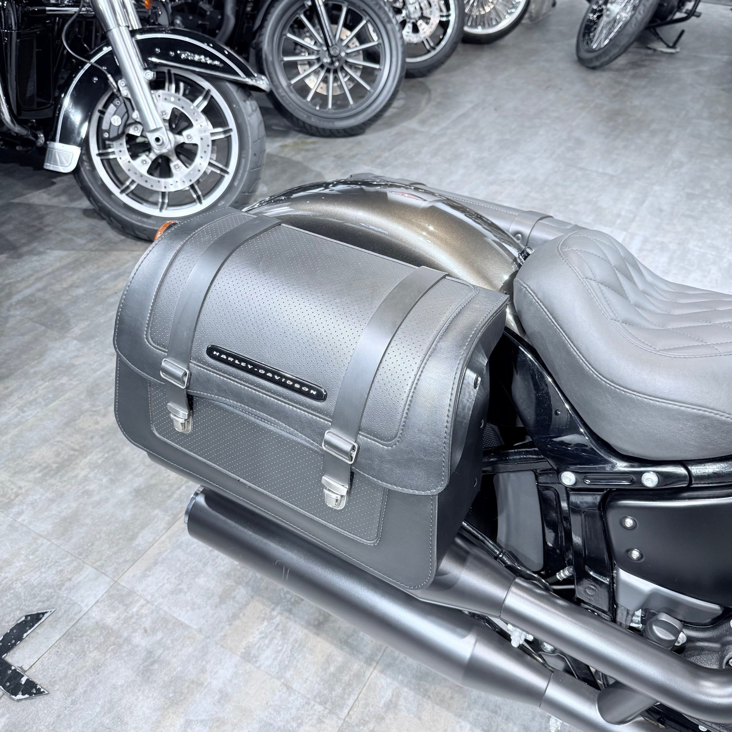 2020 Street Bob 107 Rivеr Rосk Gray. Hello Davidson, Москва. Только хорошие мотоциклы…