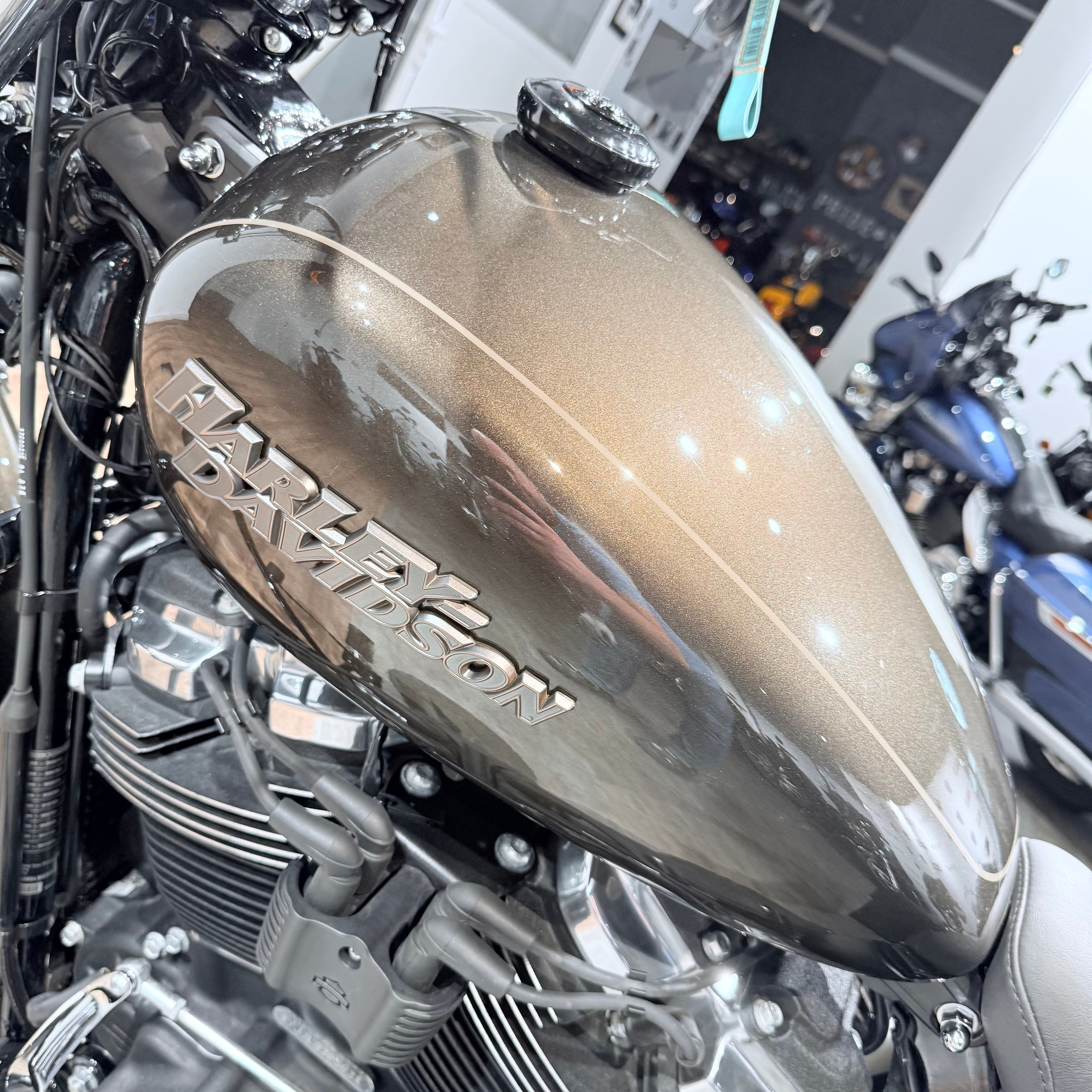 2020 Street Bob 107 Rivеr Rосk Gray. Hello Davidson, Москва. Только хорошие мотоциклы…