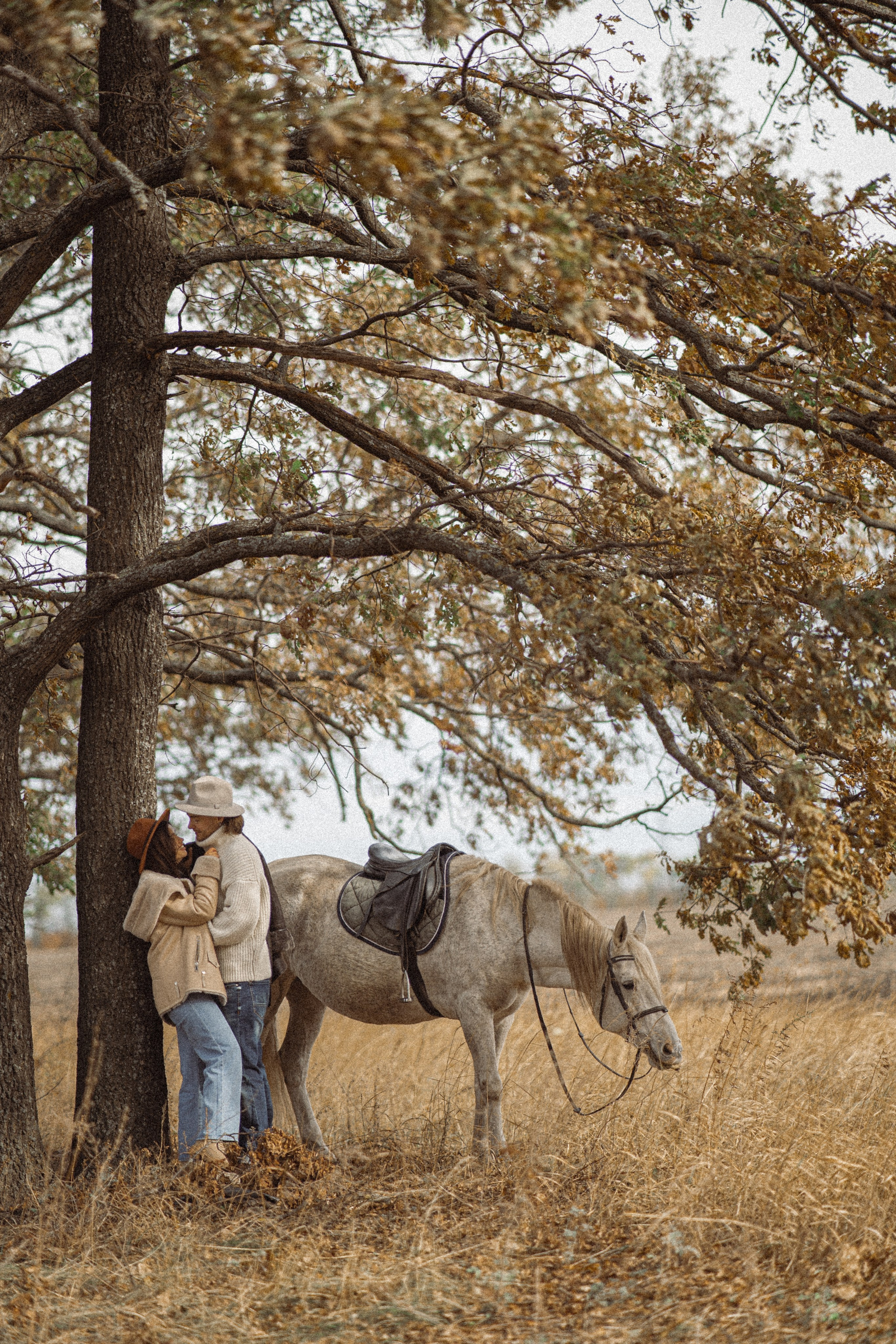 Конюшня. Фотограф Мария Зайчик