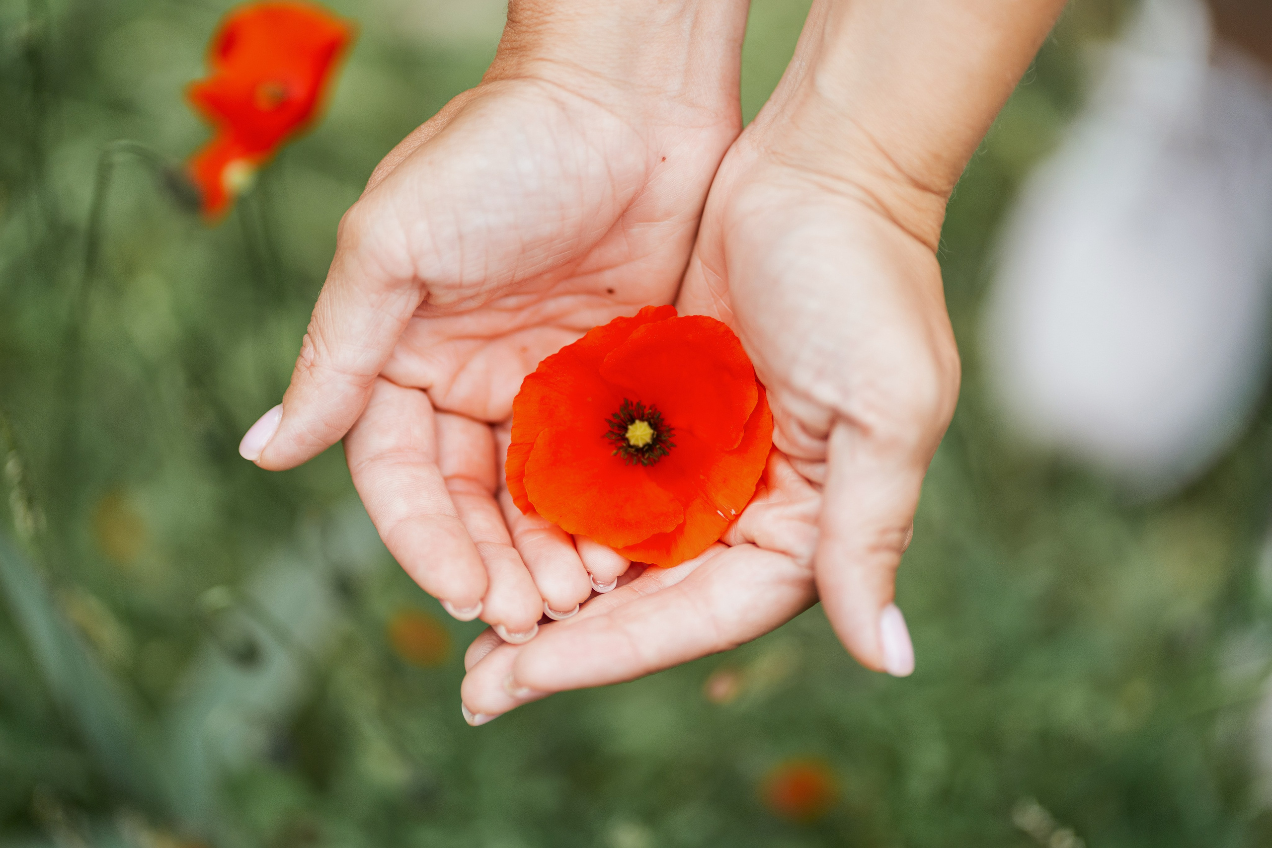 Alexa. Photographer in Cyprus