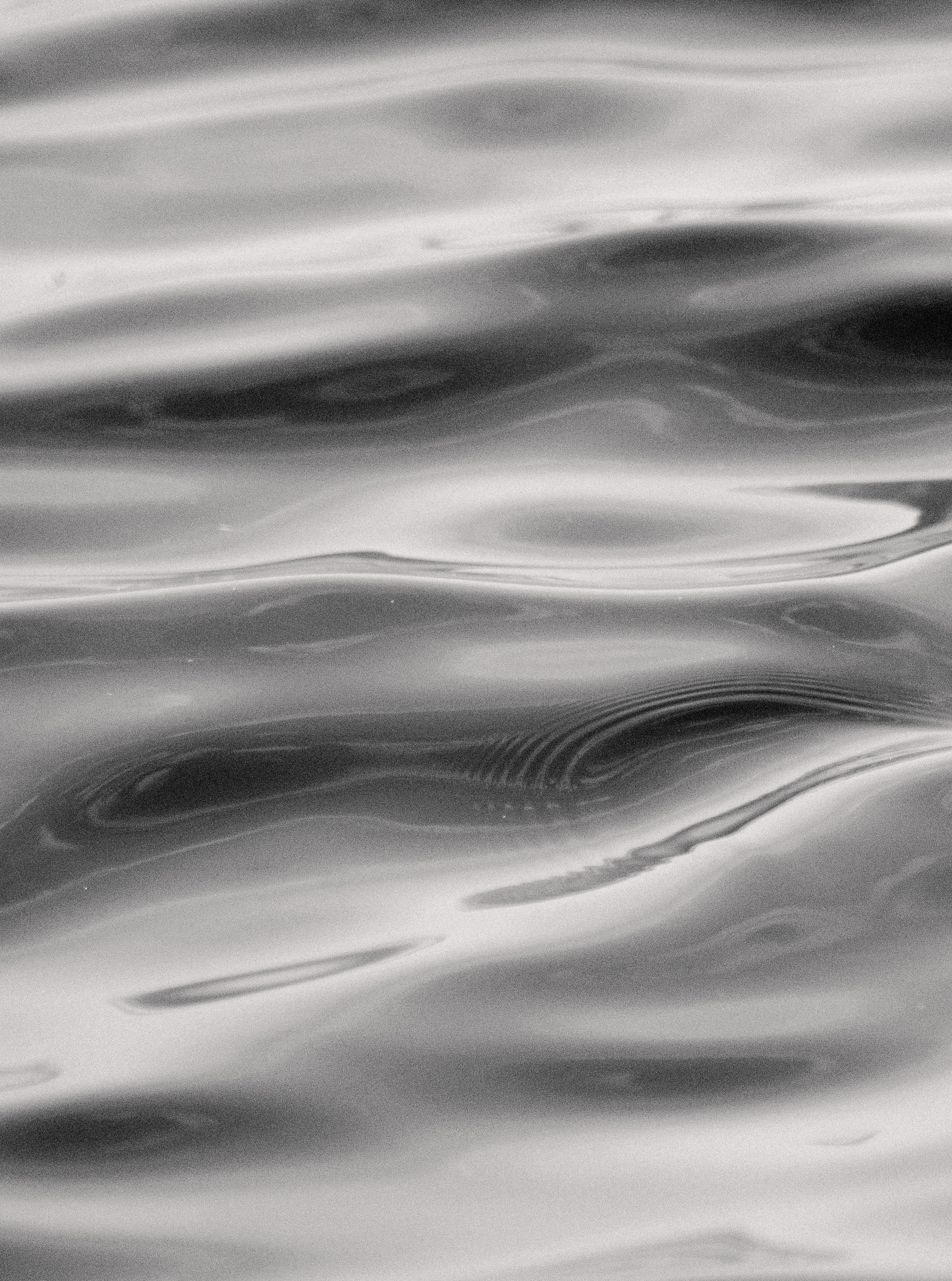 V&K. Свадебный и портретный фотограф Марина Юшина