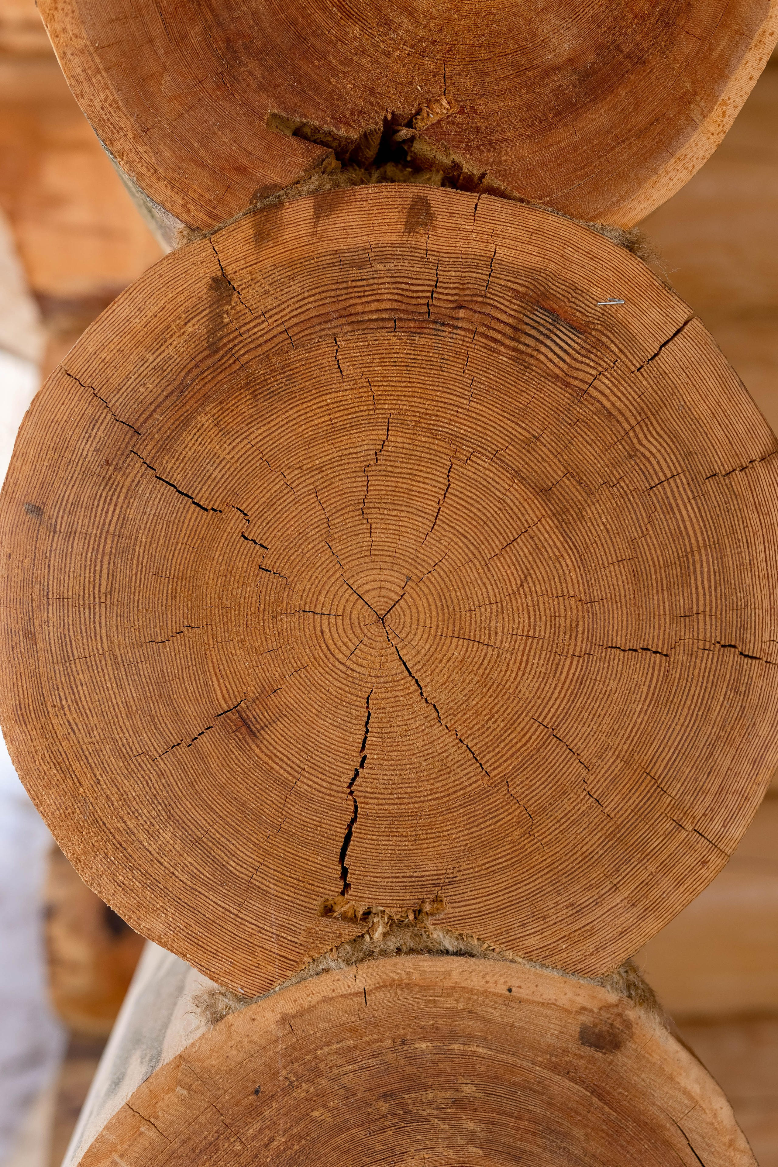 Баня. Главная