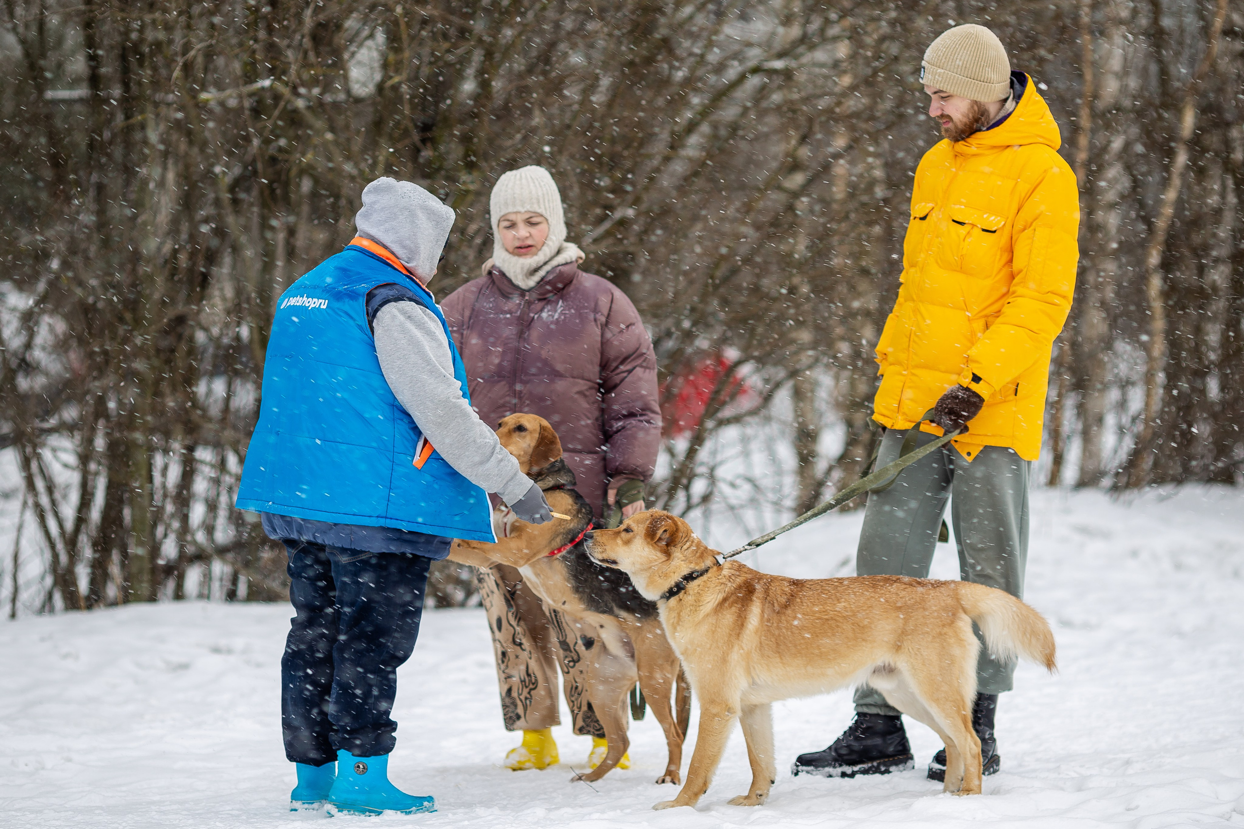 Petshop Забота. Фотограф в Санкт-Петербурге Чумаков Семен