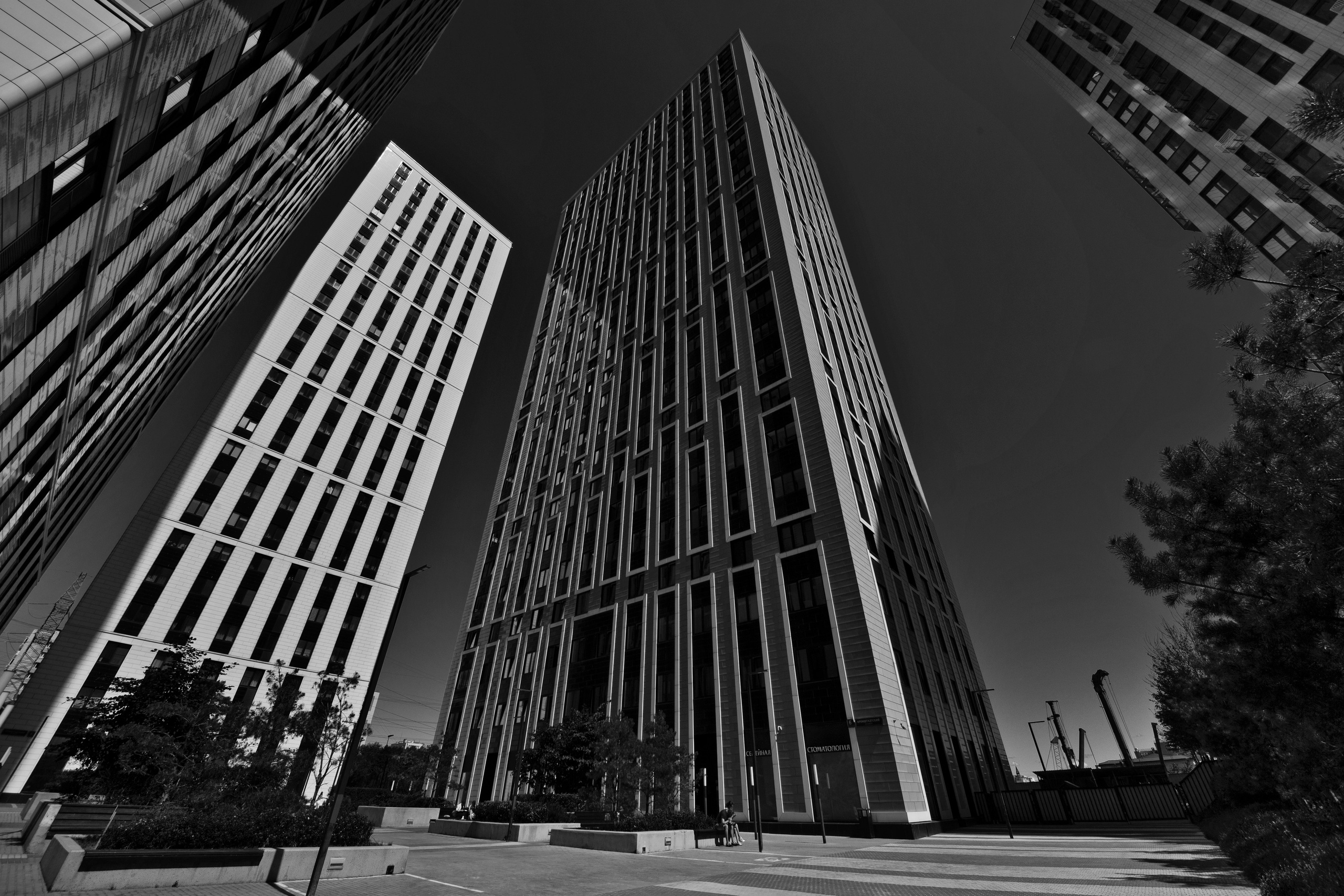 Экстерьер. Фотограф Лагутин Анатолий