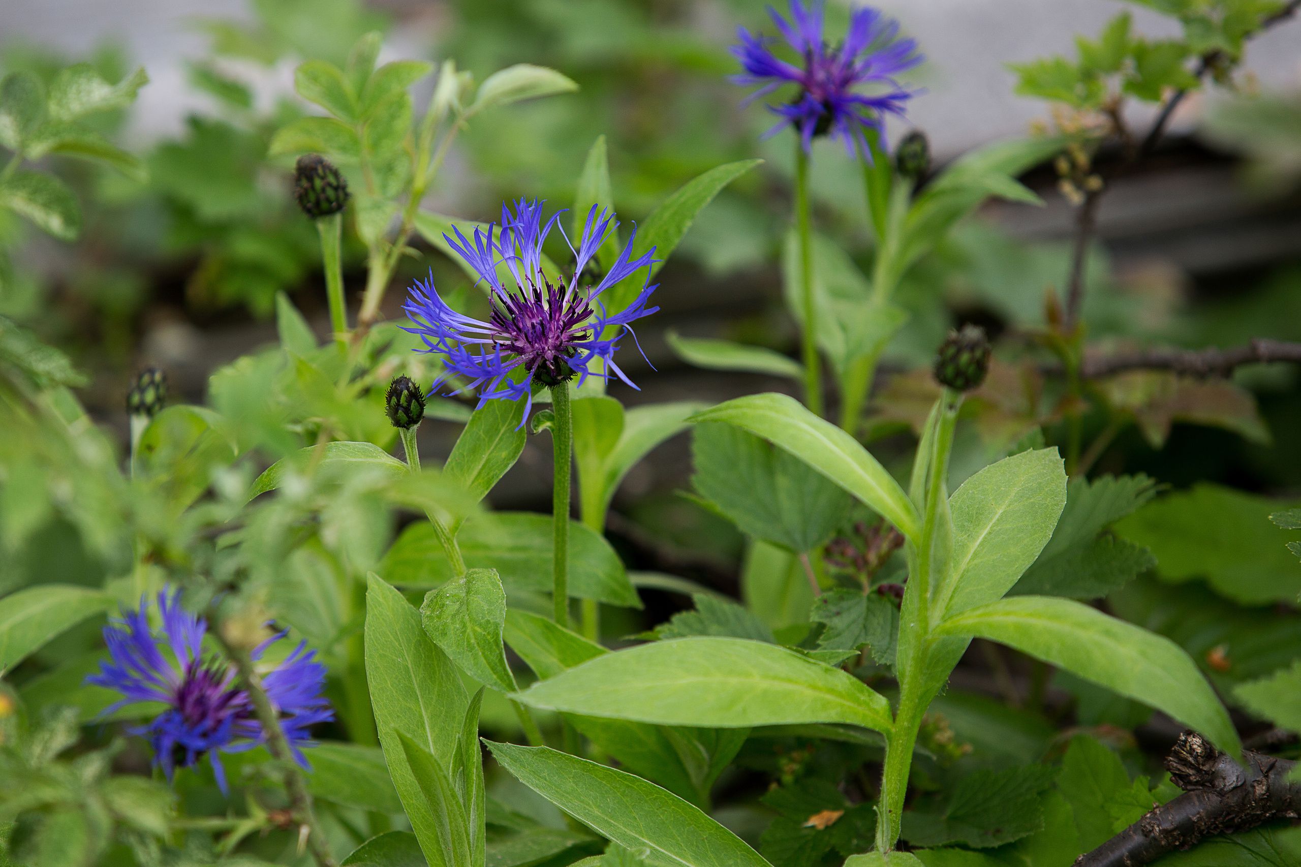 Коллекция пейзажных фотографий. Photographer Sonkina Tatiana (Tanya Ash)