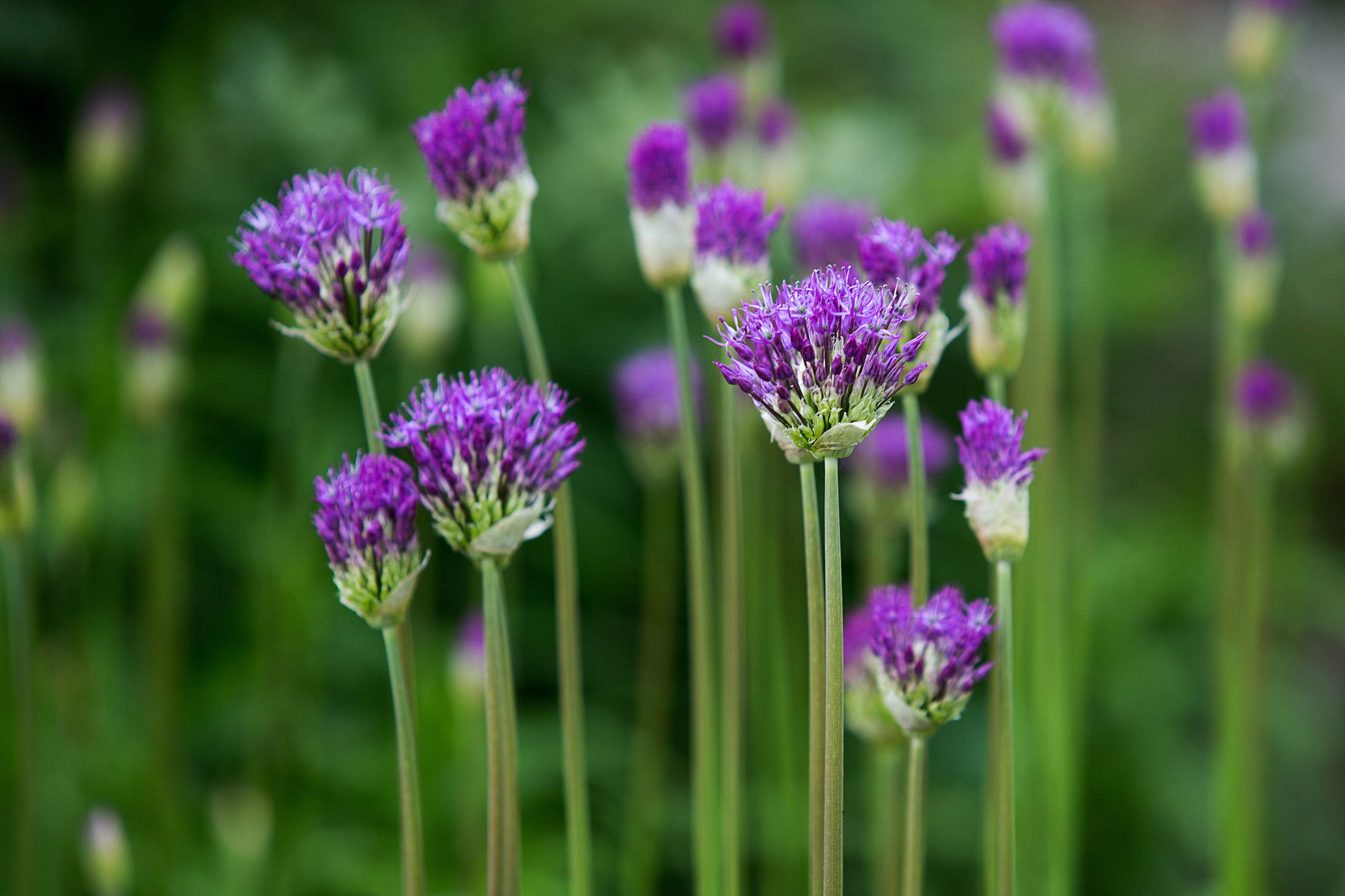 Коллекция пейзажных фотографий. Photographer Sonkina Tatiana (Tanya Ash)