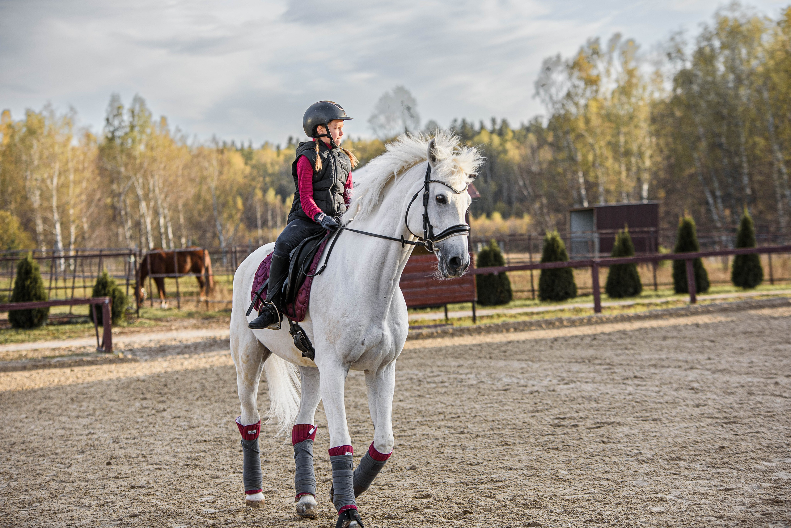 Лиза и Хогвардс. Мотофотограф в Нижнем Новгороде Динара Зуйкова