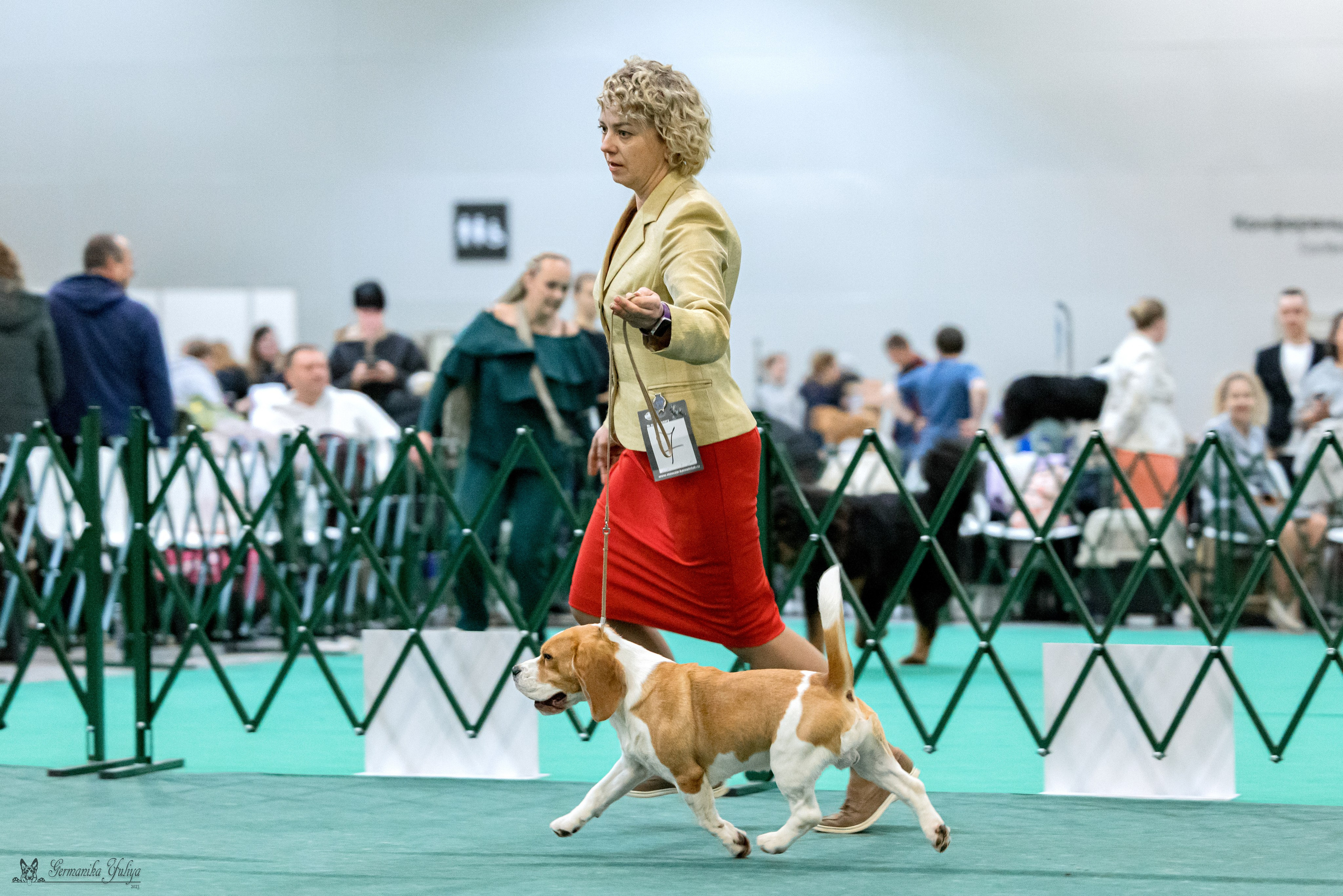 Сфера 29.10,Крокус 4.11,Сфера 12.11.2023. Фотограф-анималист Юлия Германика