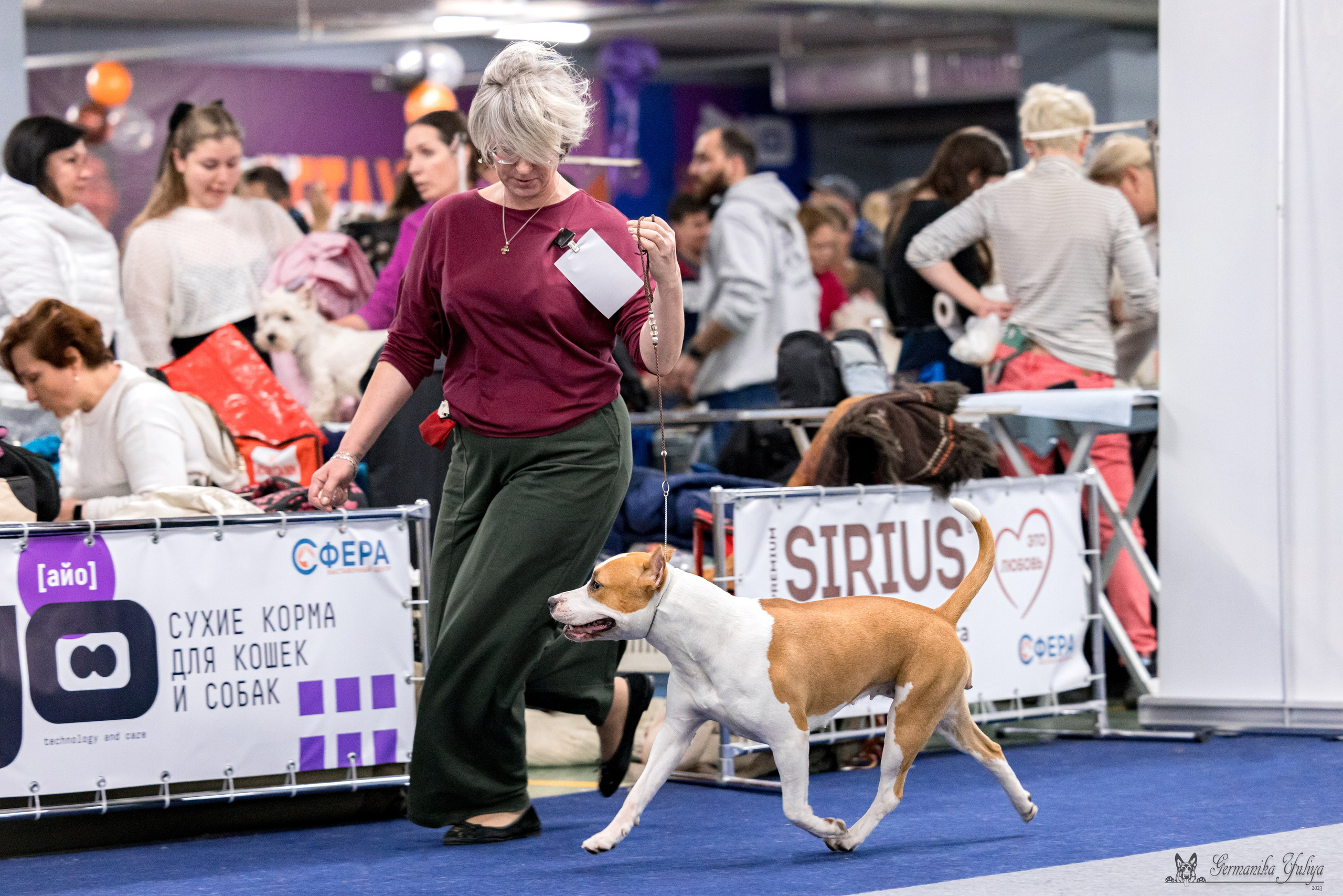 Сфера 29.10,Крокус 4.11,Сфера 12.11.2023. Фотограф-анималист Юлия Германика