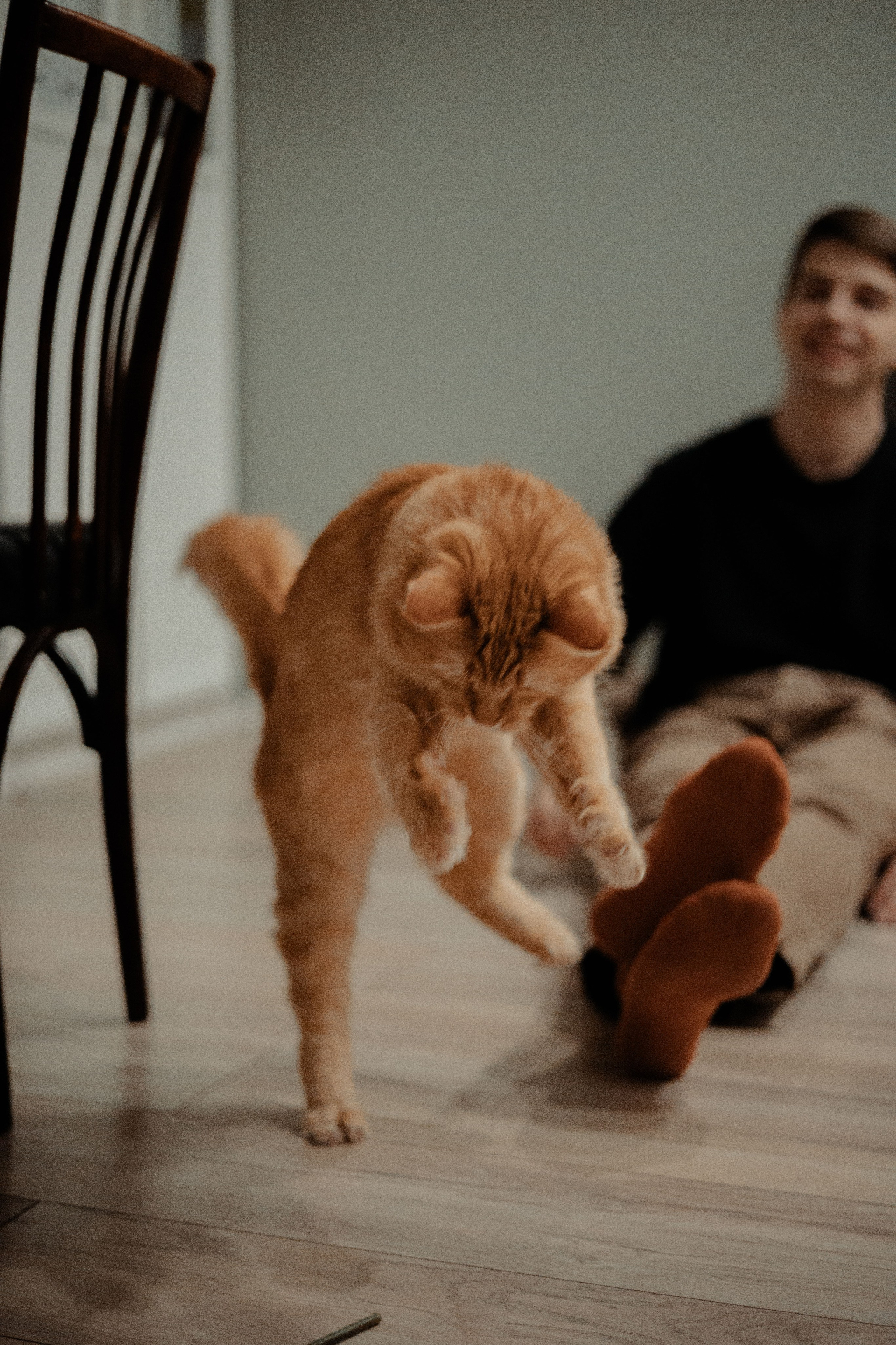 Рыжий Маффин, Алёна и Антон. Фотограф Анималист Екатерина Справцева в Нижнем Новгороде