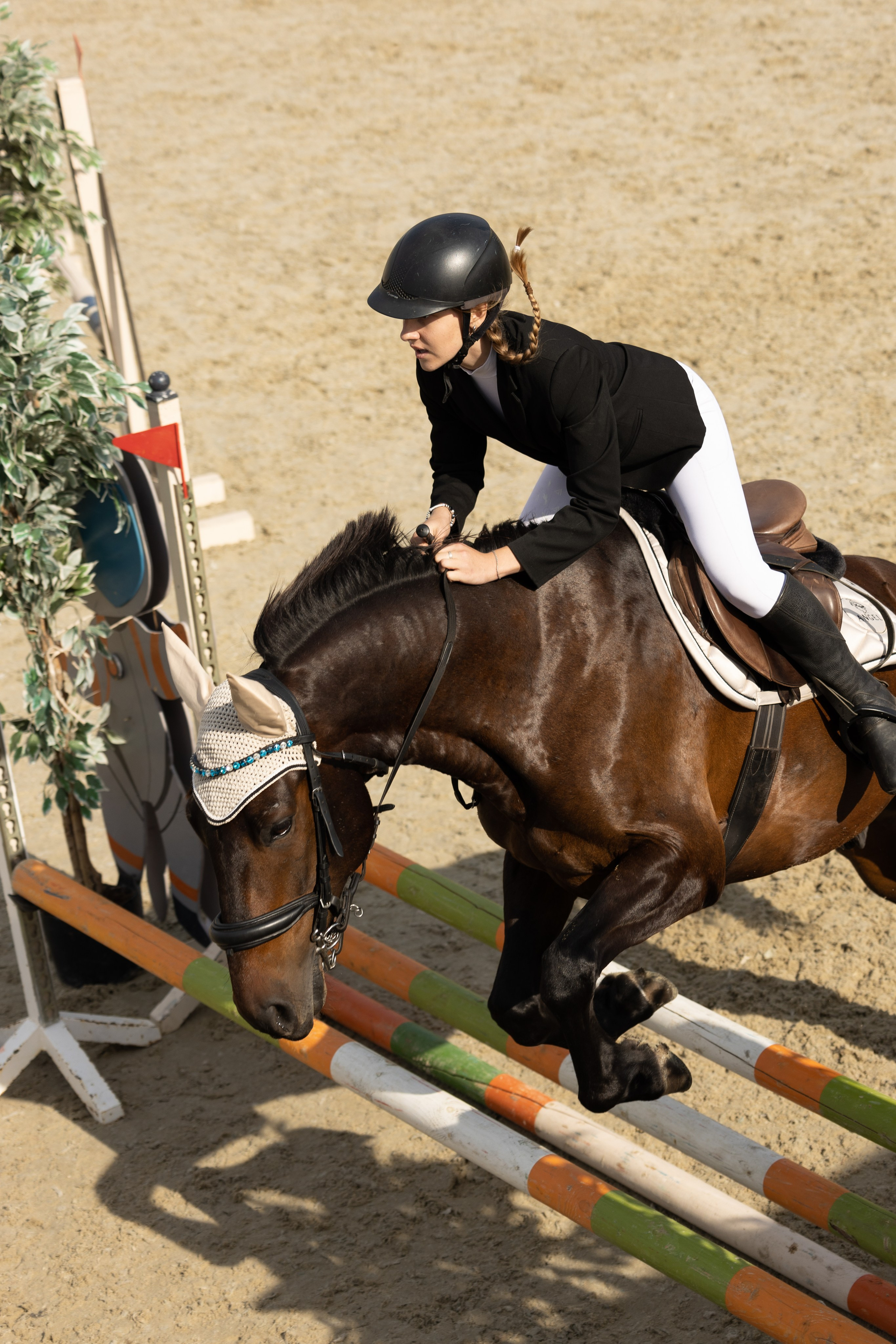 Соревнования по конкуру. Фотограф в Москве Светлана Богначева
