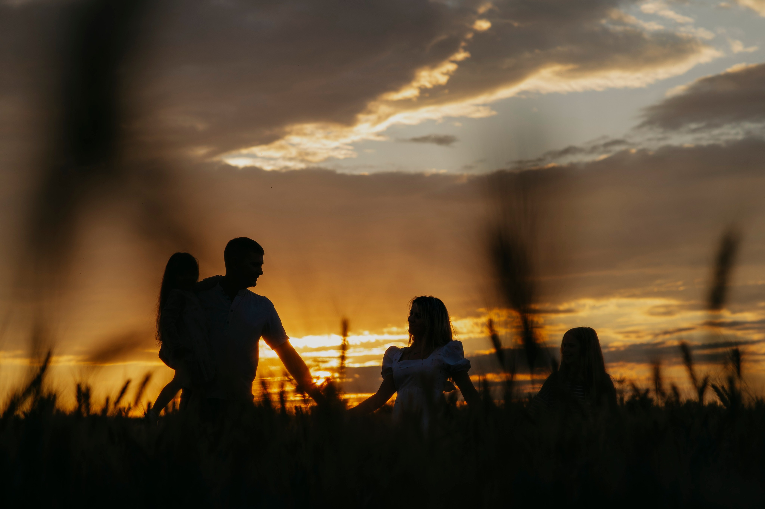 Пшеничный закат. Фотограф Дарья Семина