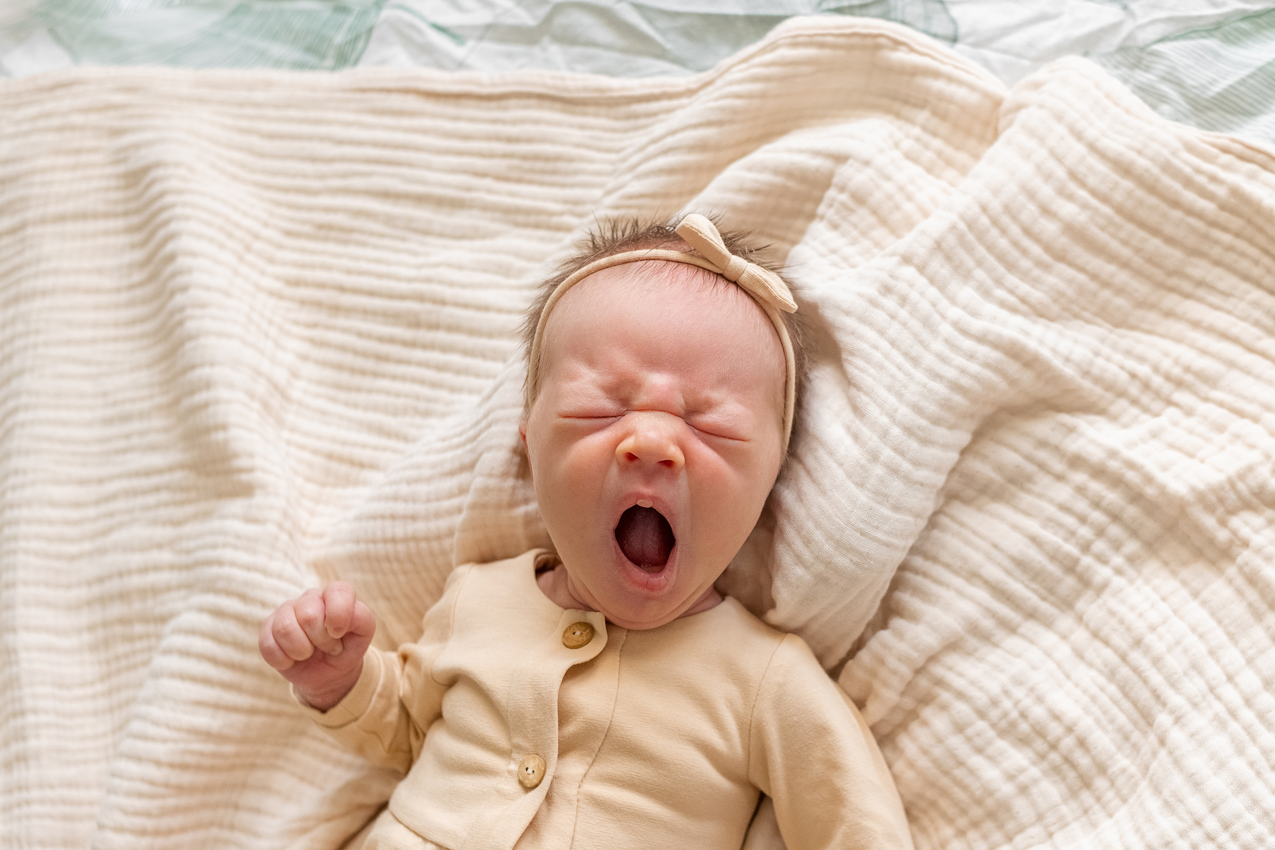 Фотограф новорожденных и семейный фотограф в Санкт-Петербурге