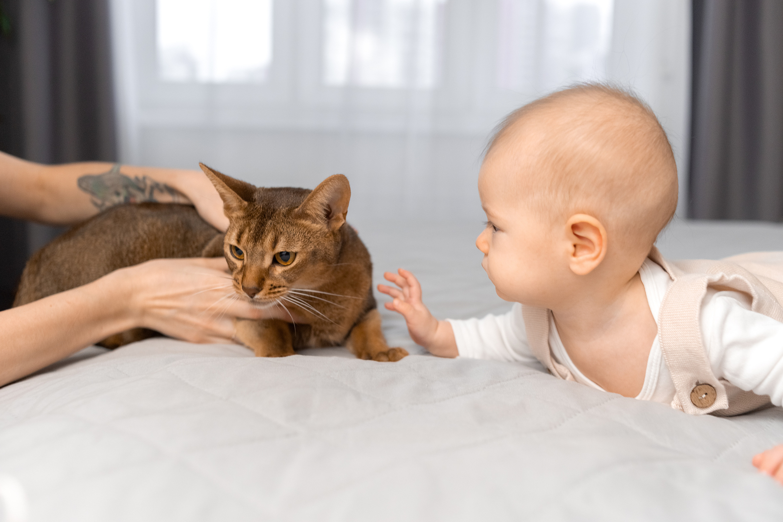 Фотограф новорожденных и семейный фотограф в Санкт-Петербурге