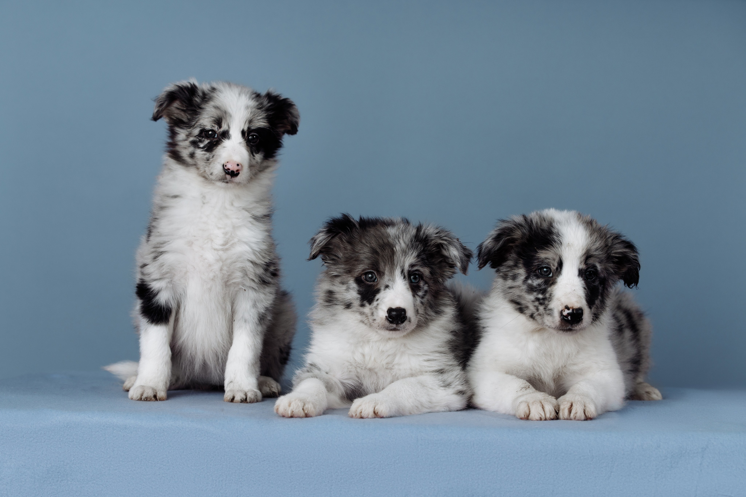 Март. Весна. 22. О нас