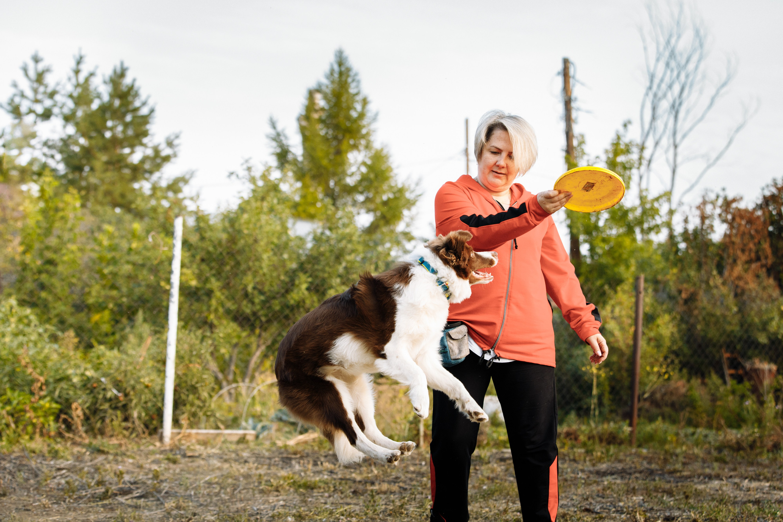 Овечий день. О нас