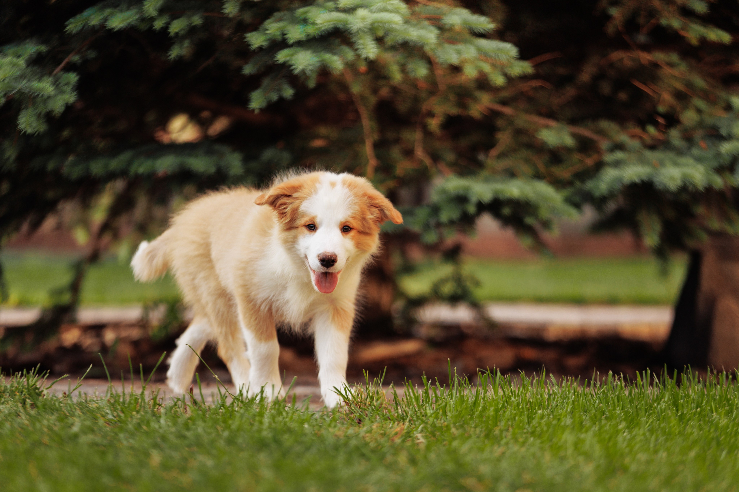 СОлнечные. О нас