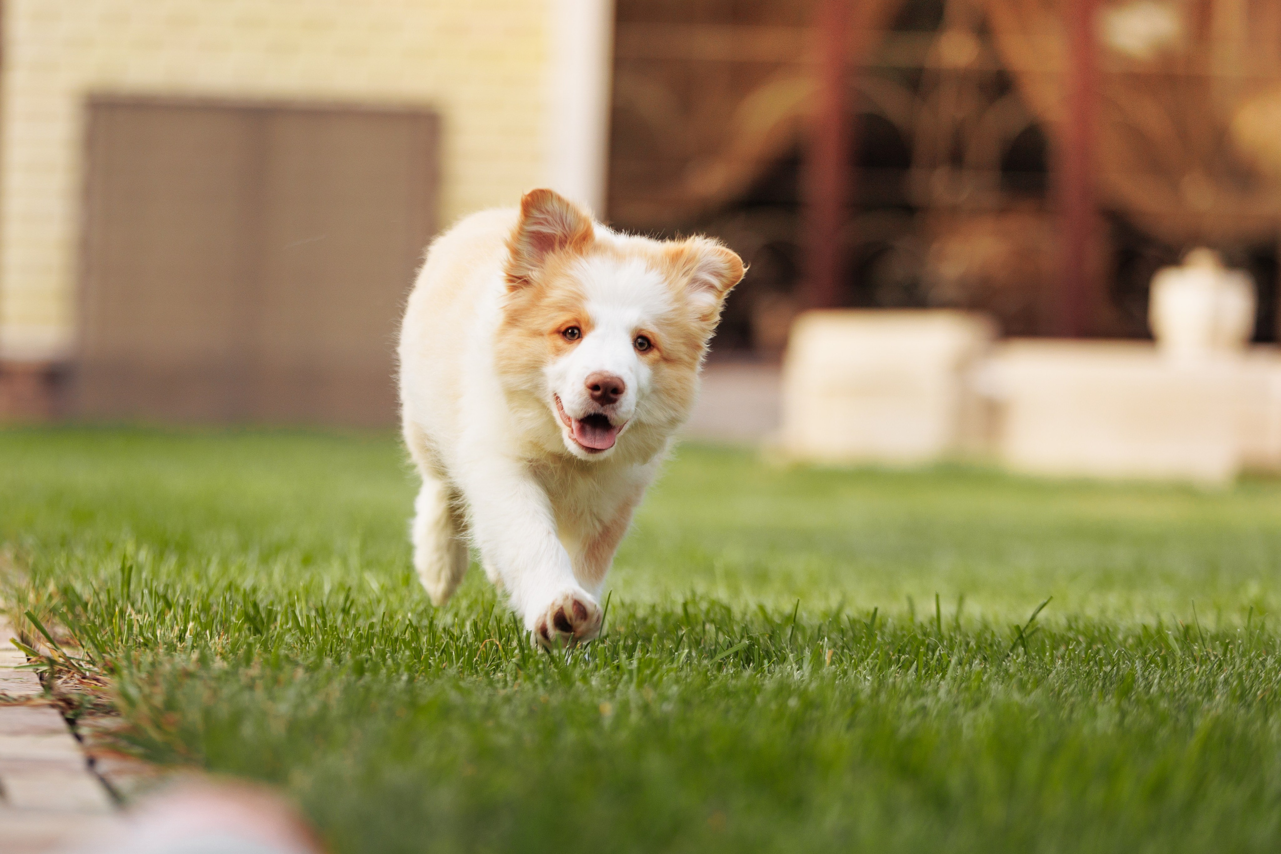 СОлнечные. О нас