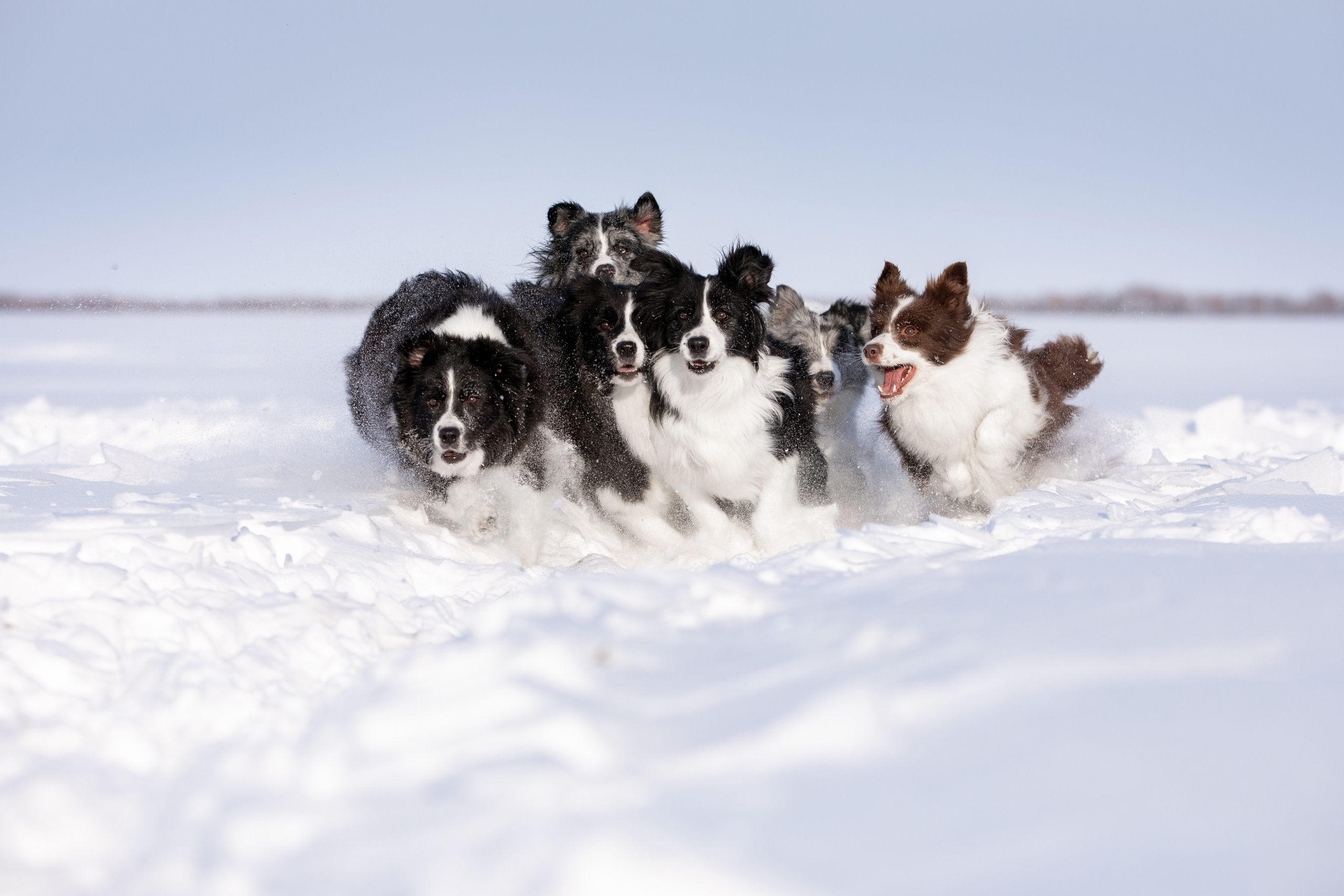 Мороз и солнце. О нас