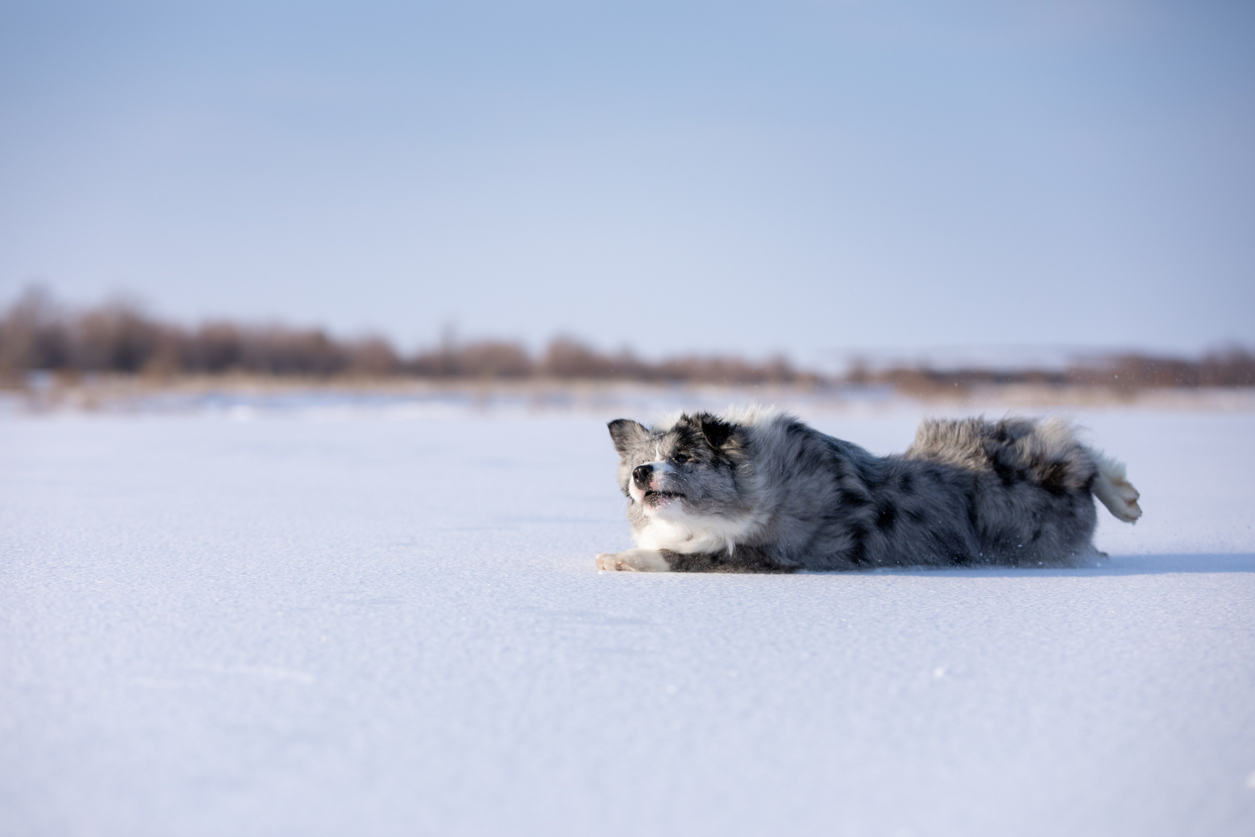 Мороз и солнце. О нас