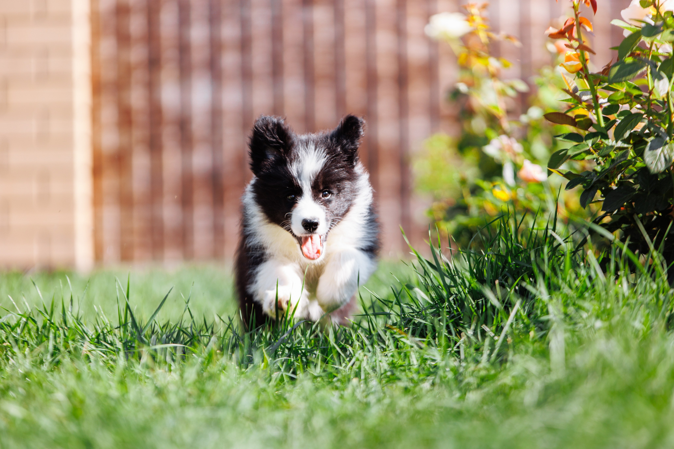 МММ — маленькое мягкое милое. О нас