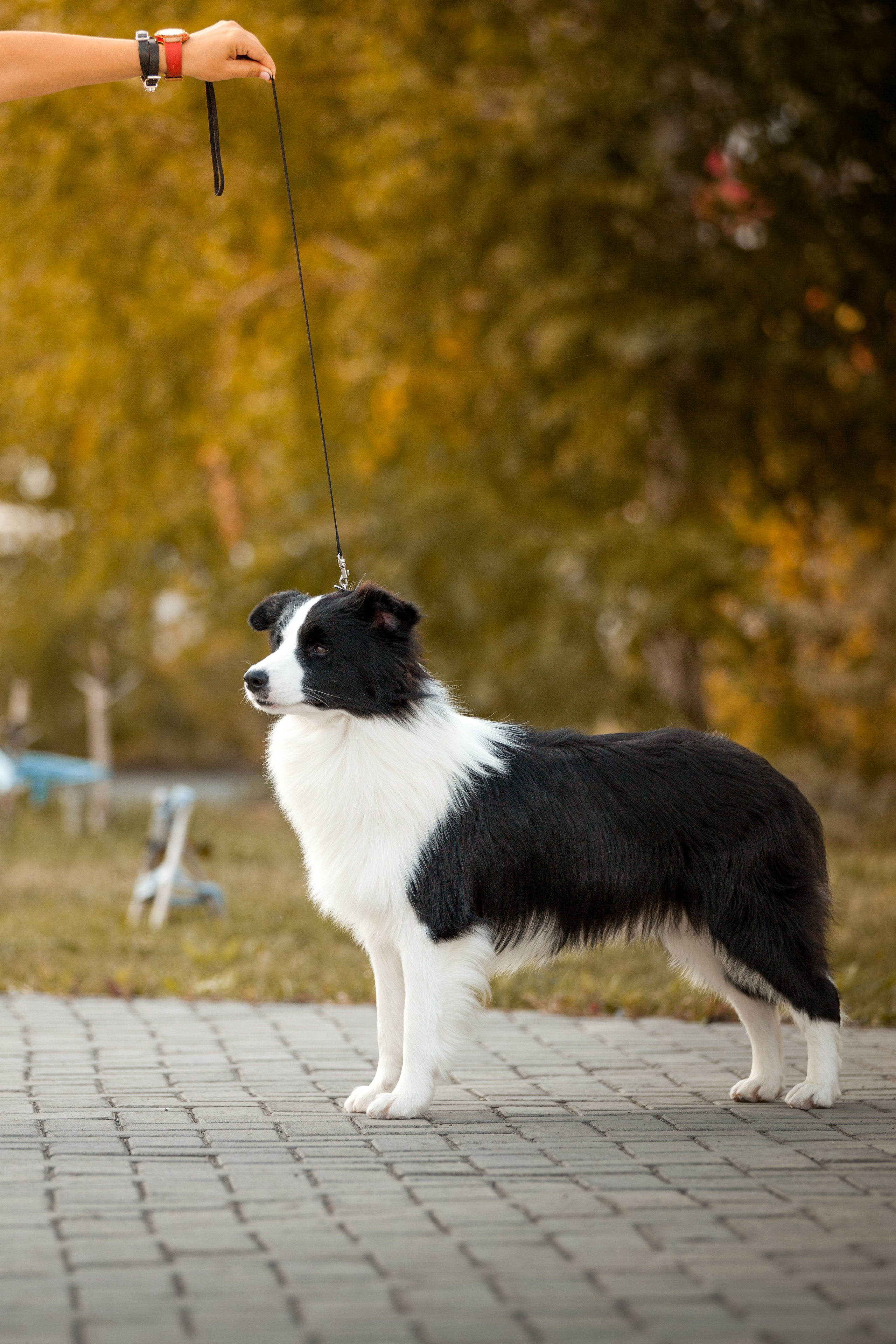 Это было в Новотроицке, было в 19. О нас