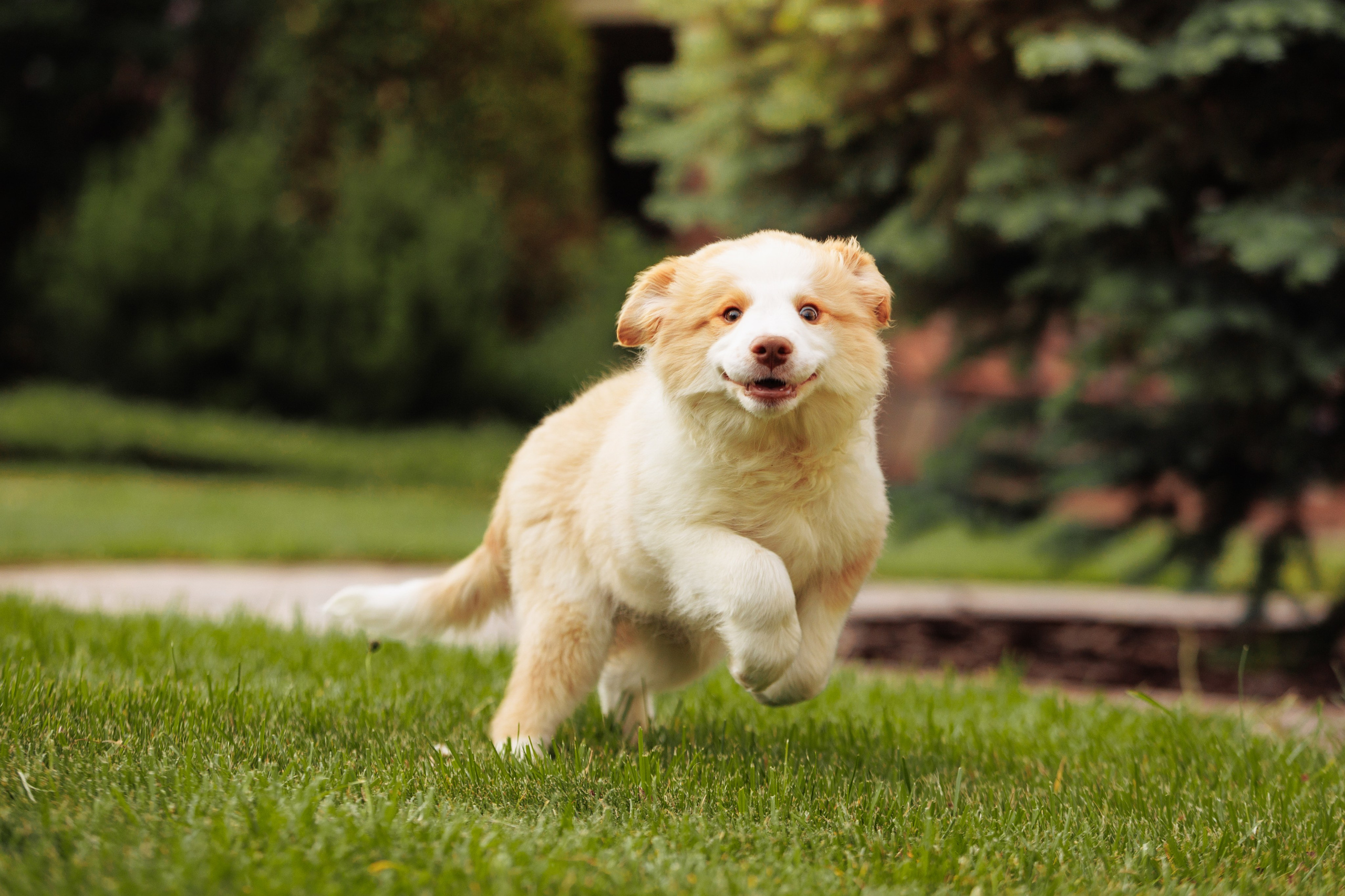 СОлнечные. О нас