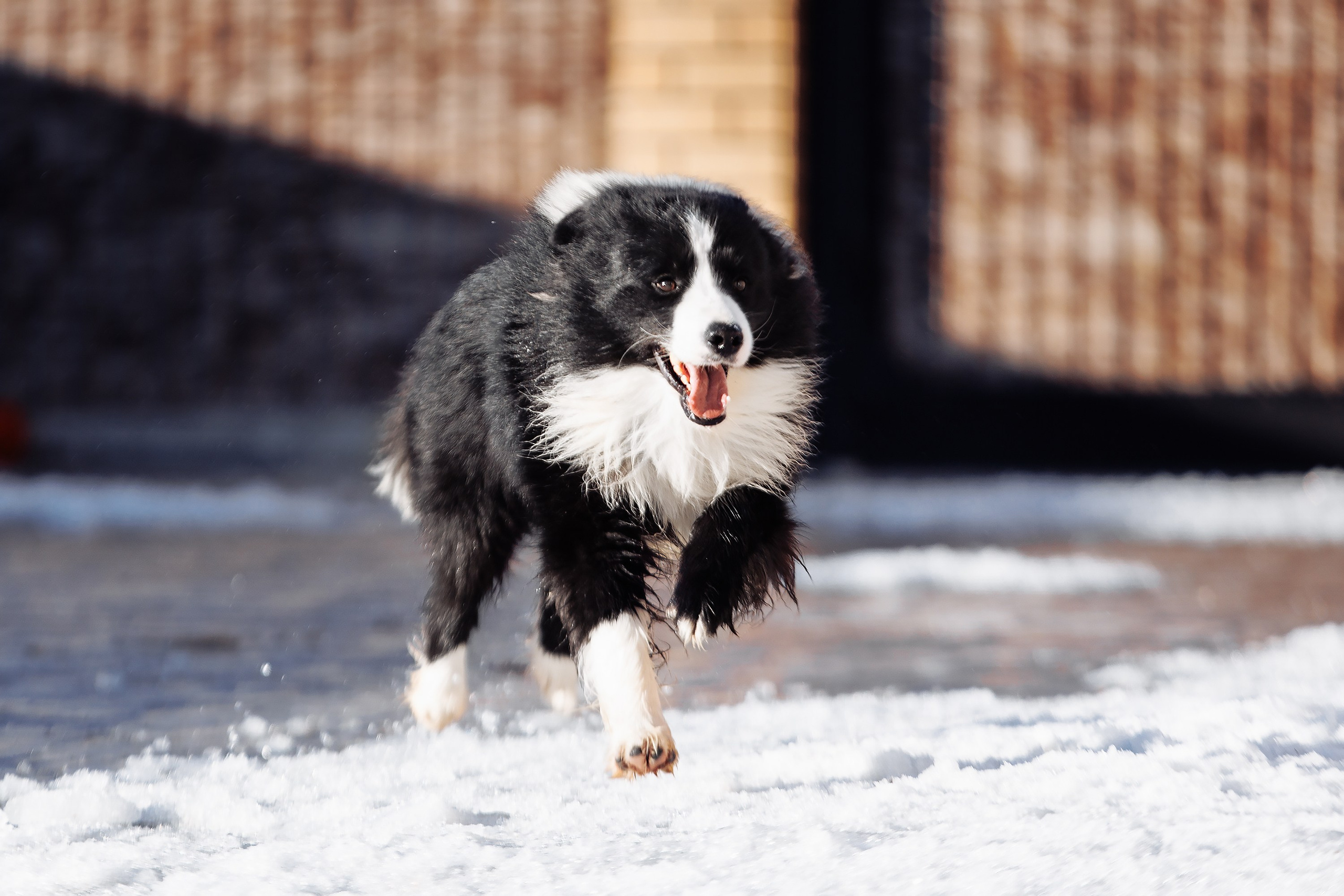 Пока таяло. О нас