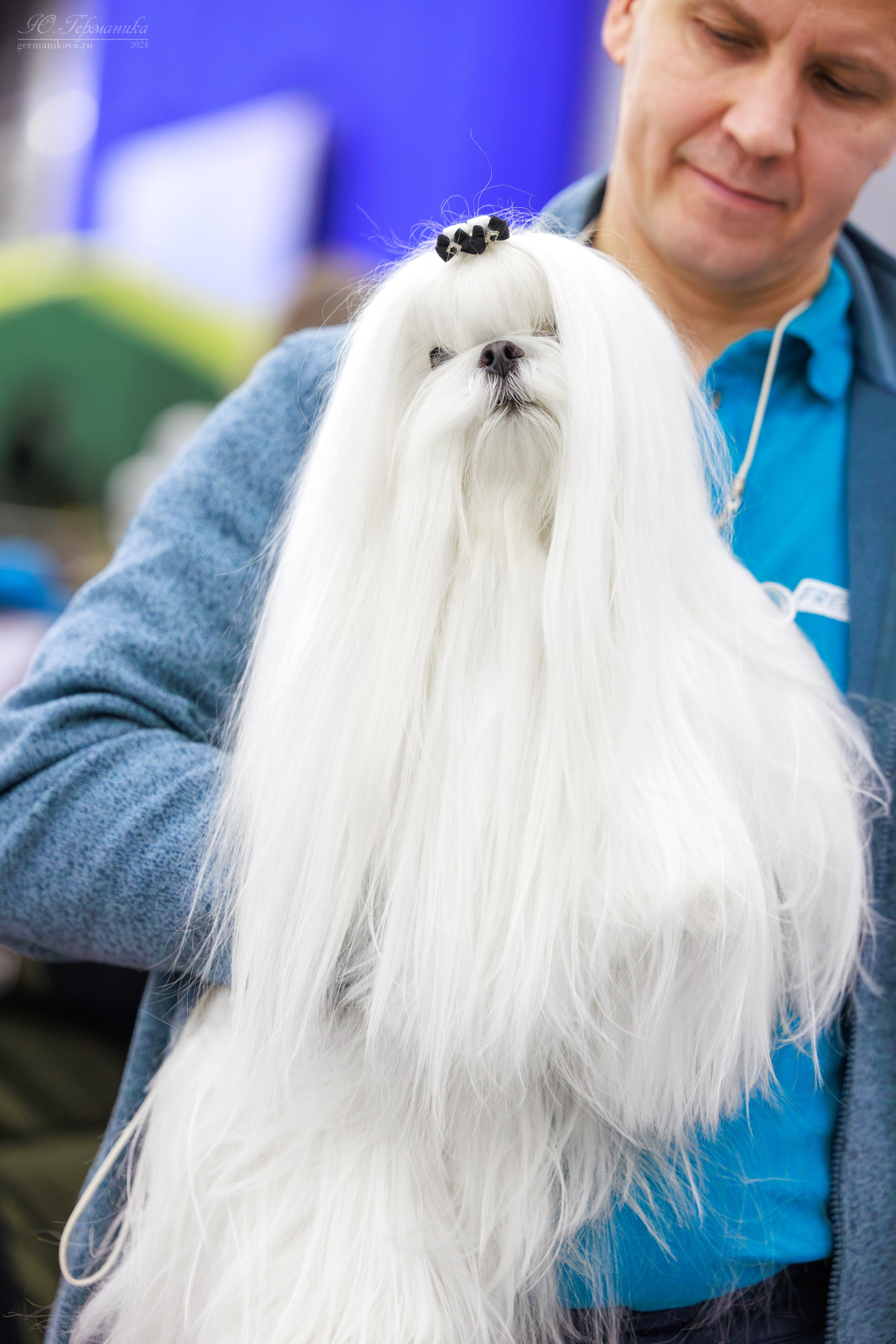 Санкт-Петербург 14.12.2024 ОС. Фотограф-анималист Юлия Германика