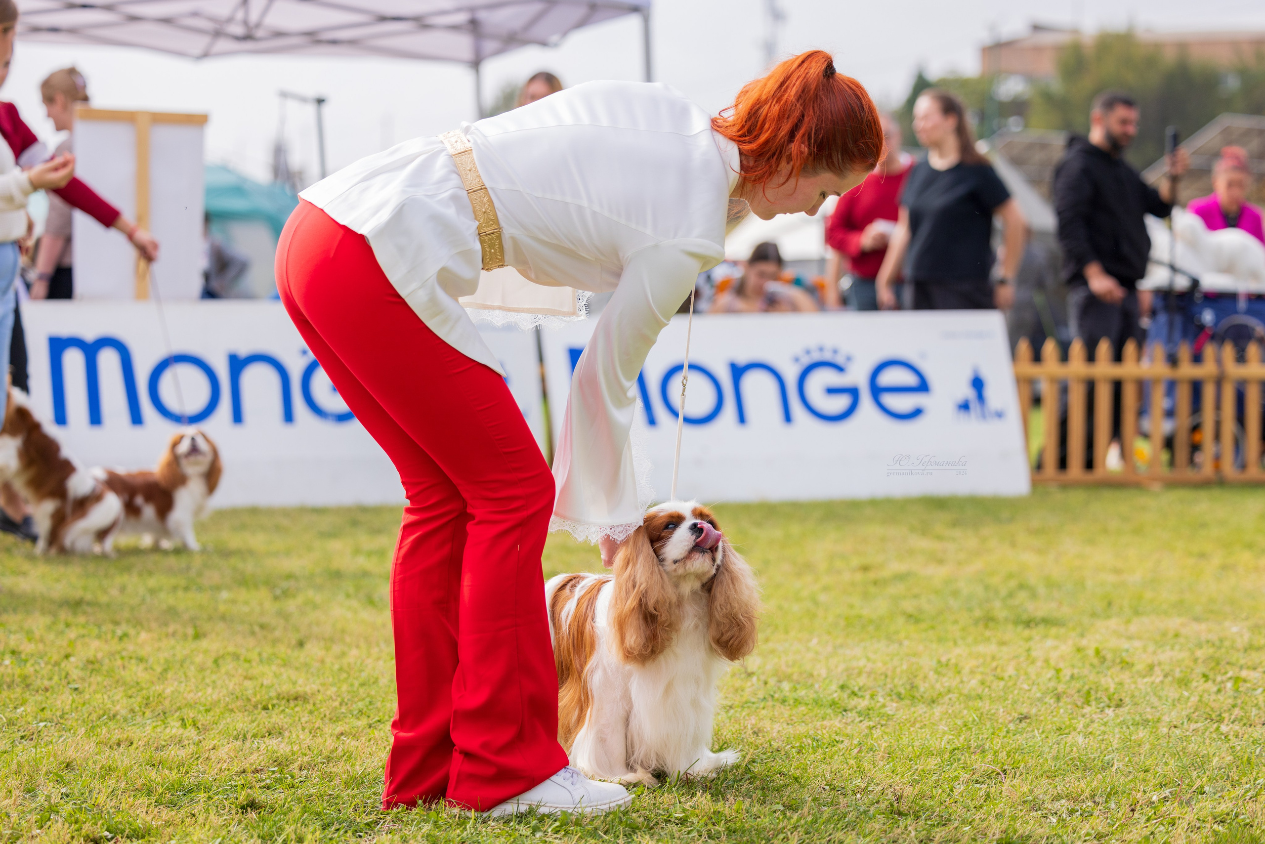 Армения,Ереван 3хCACIB 15-17.10.2024. Фотограф-анималист Юлия Германика
