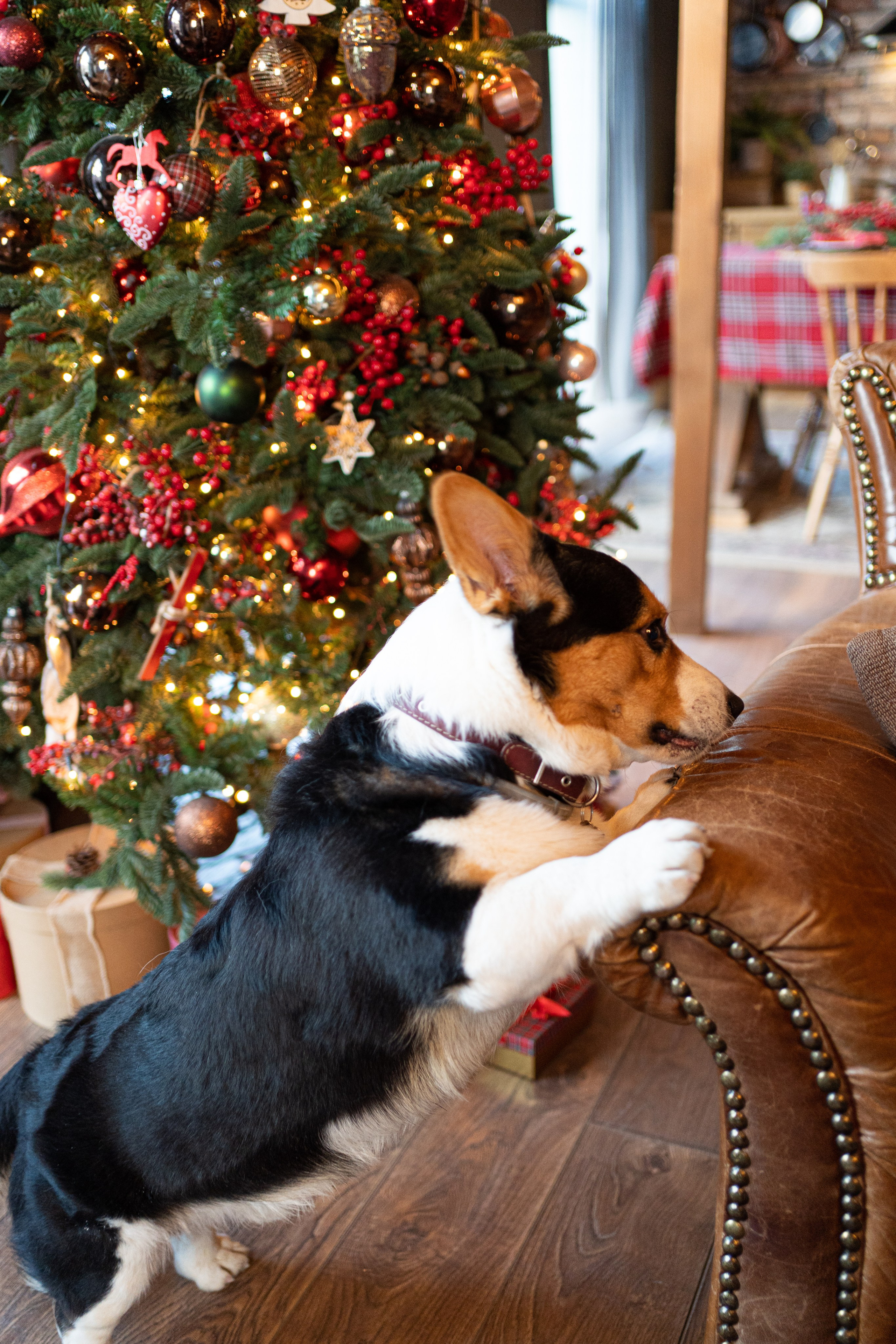 Новогоднее шале. Главная