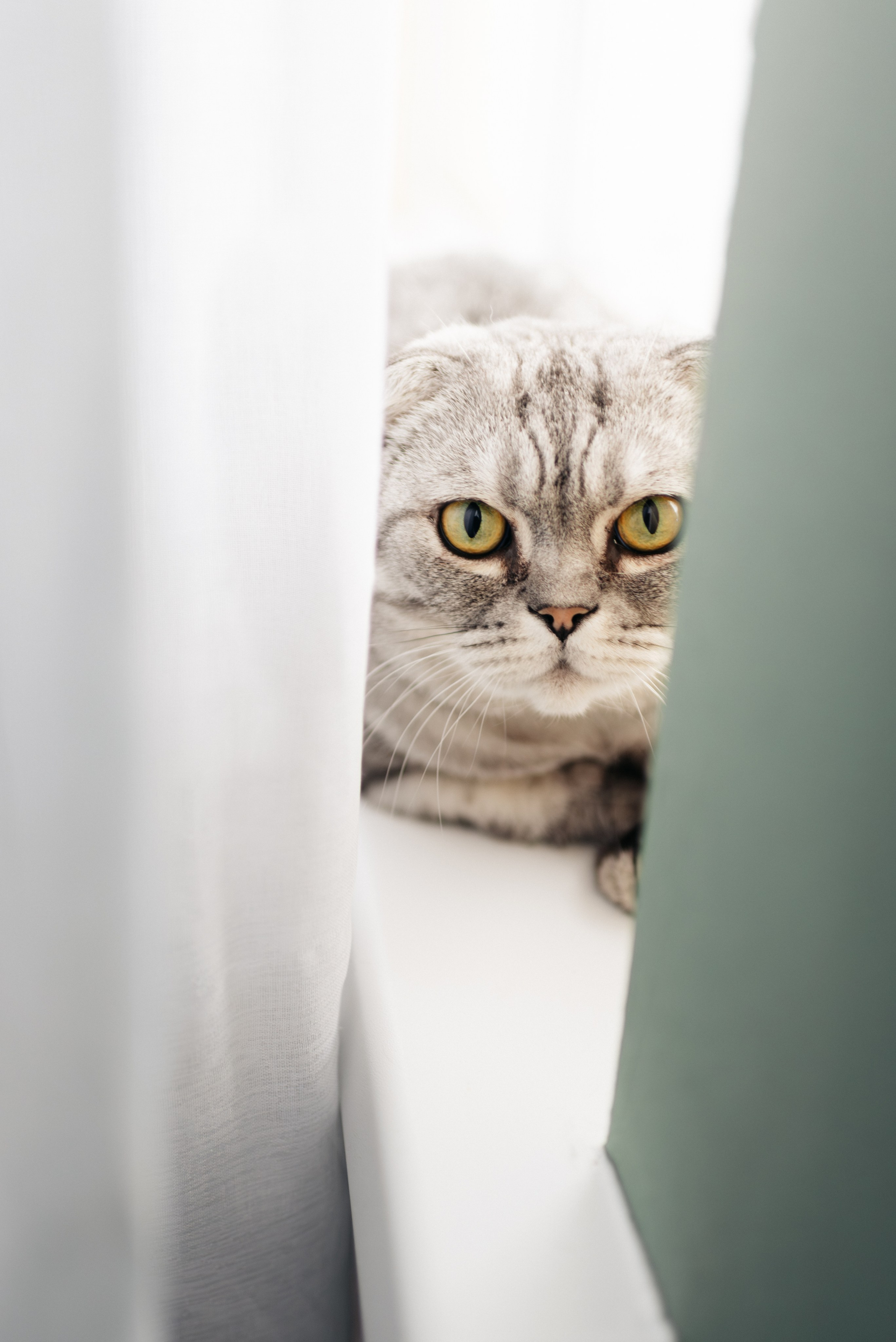 Зимняя история. Обо мне