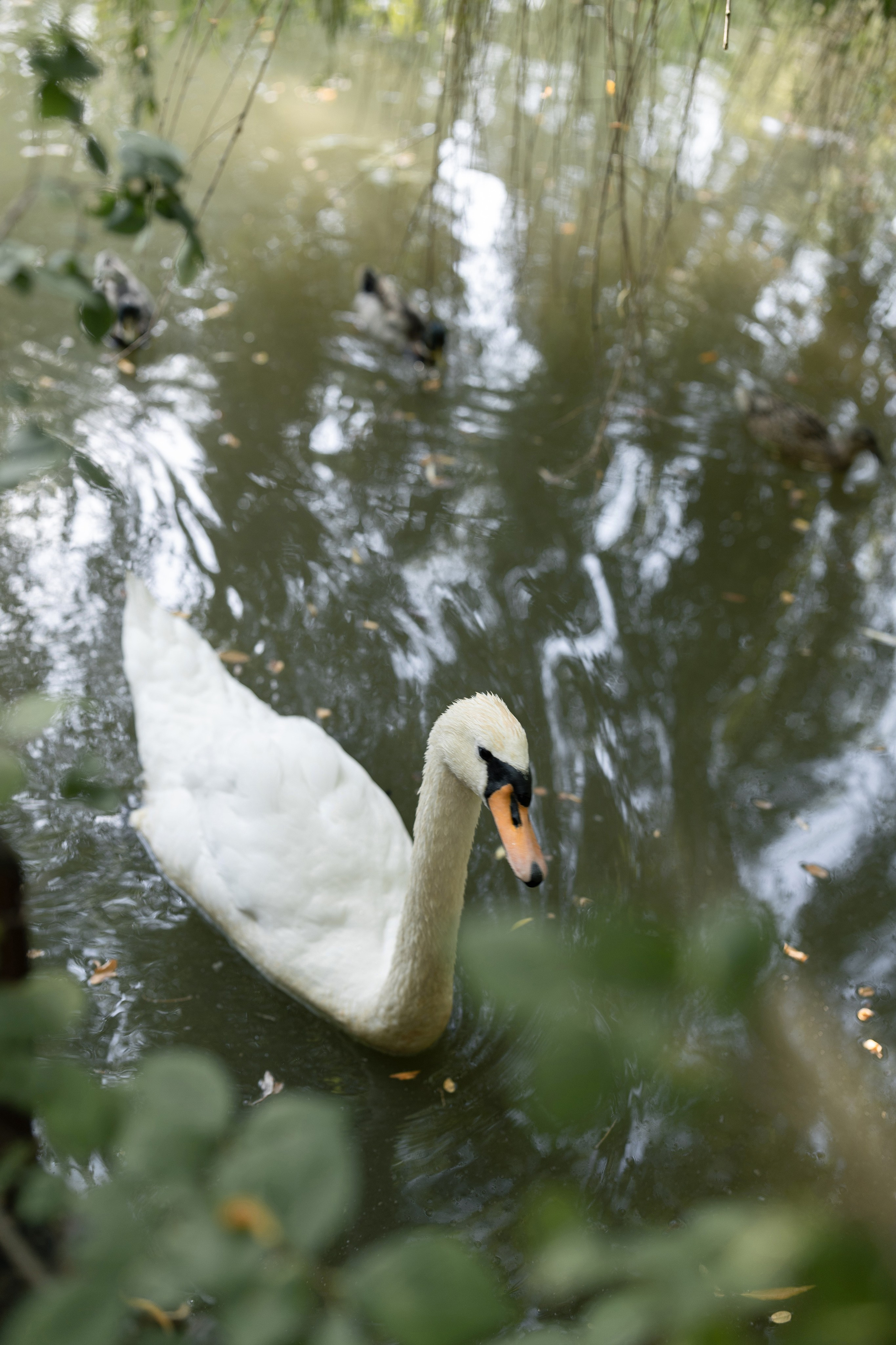 Одним июльским днем. Анастасия Безуглова- свадебный фотограф в Таганроге