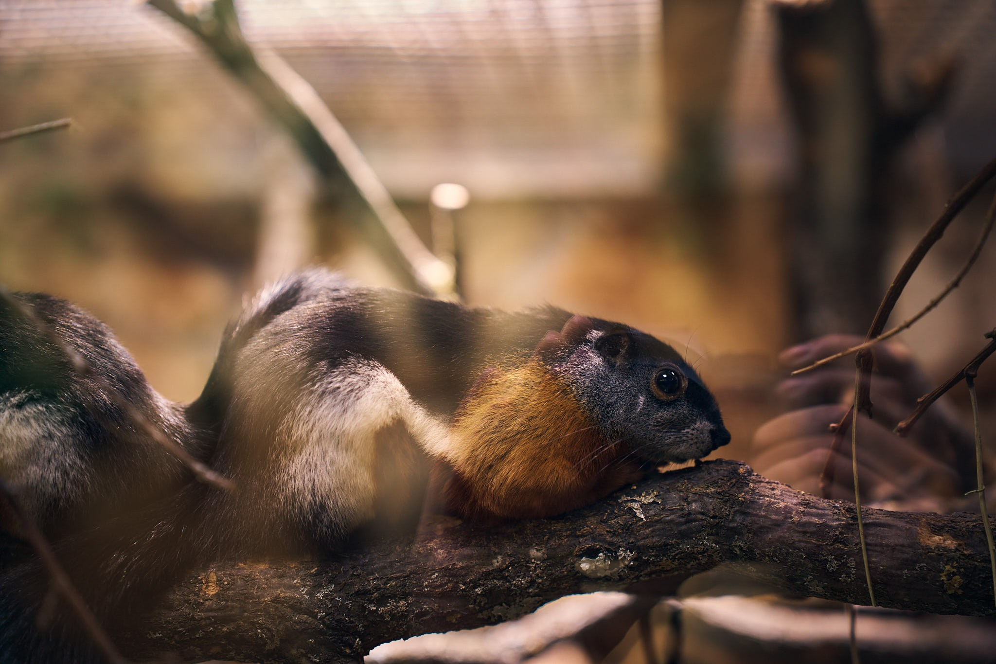 ZOO. ФОТОГРАФ ЕКАТЕРИНБУРГ