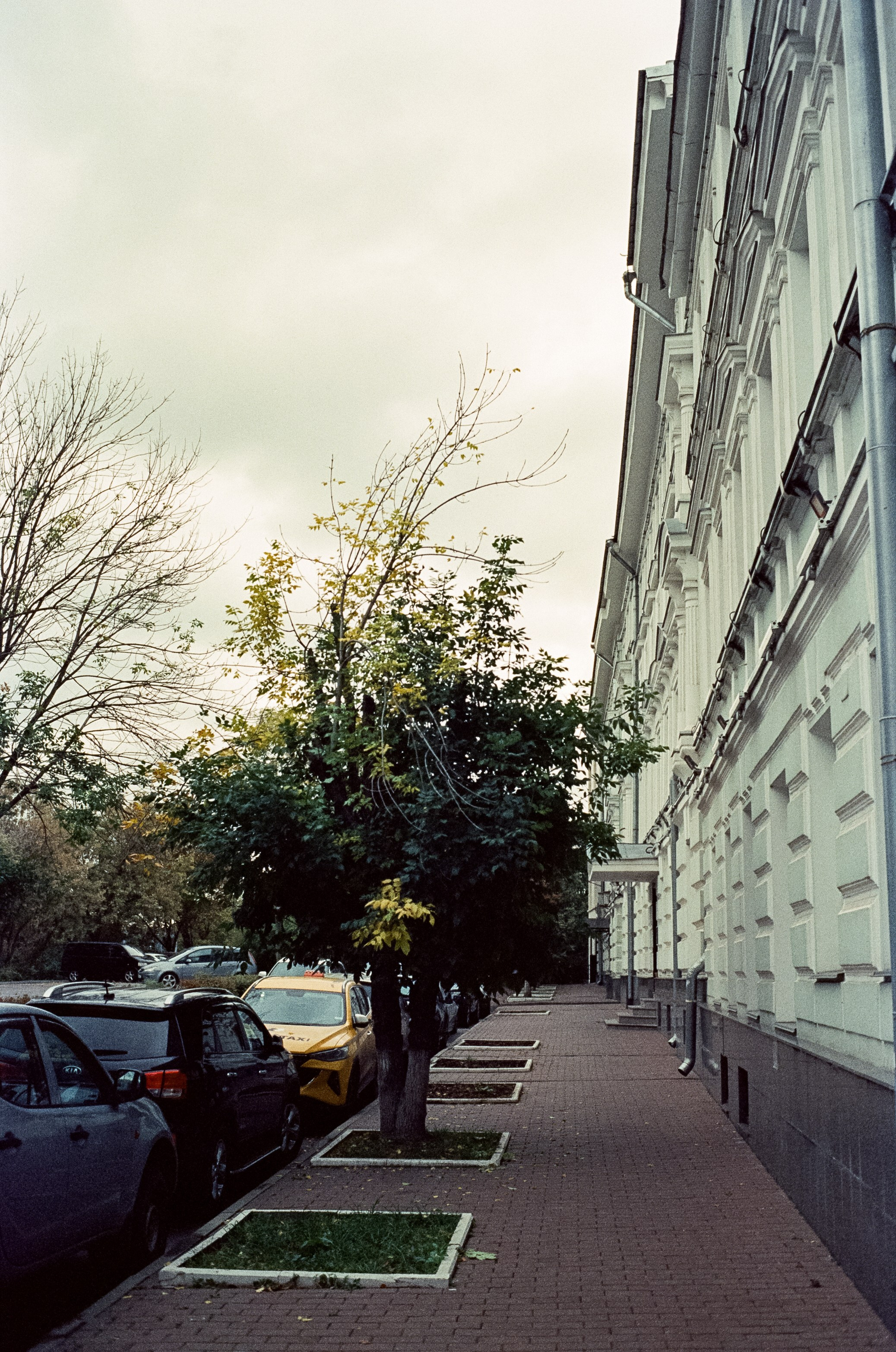 Ян Бедерман и Бронислав Виногородский / Клуб Алексея Козлова / 6 октября 2024 года