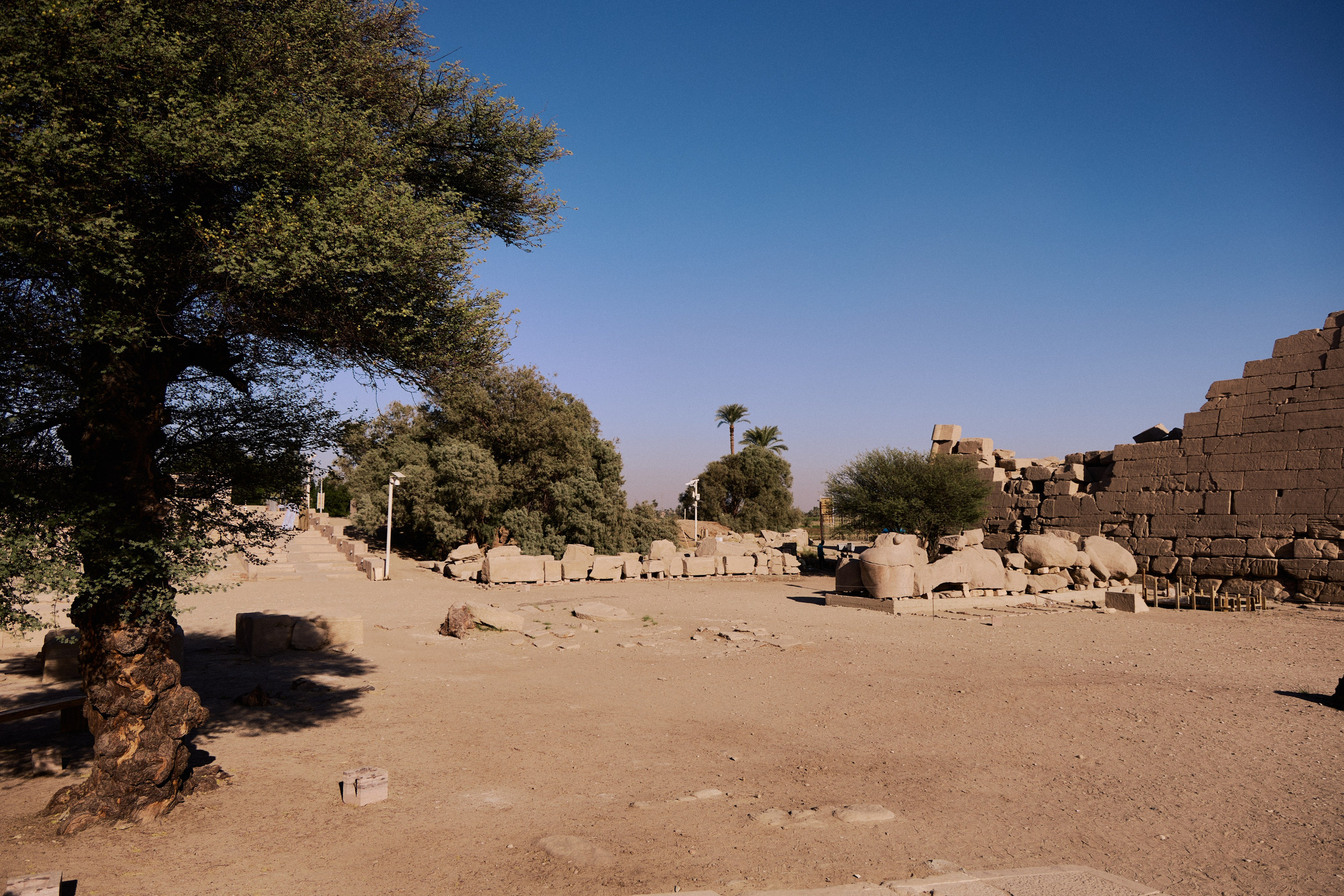 Другое 4. Jorgis — фотограф в Хургаде / обучение фотографии