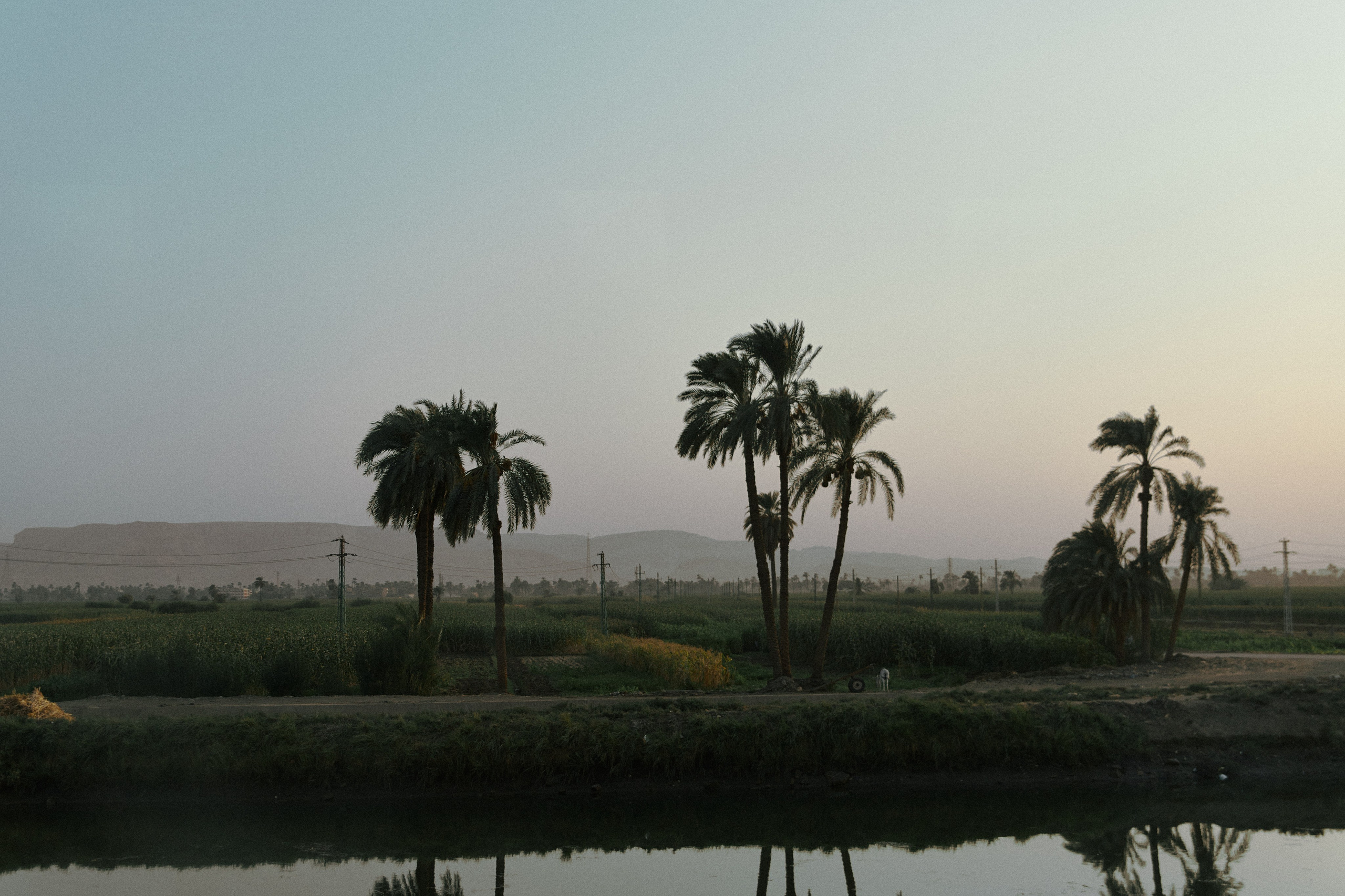 Улица горизонтальная. Jorgis — фотограф в Хургаде / обучение фотографии