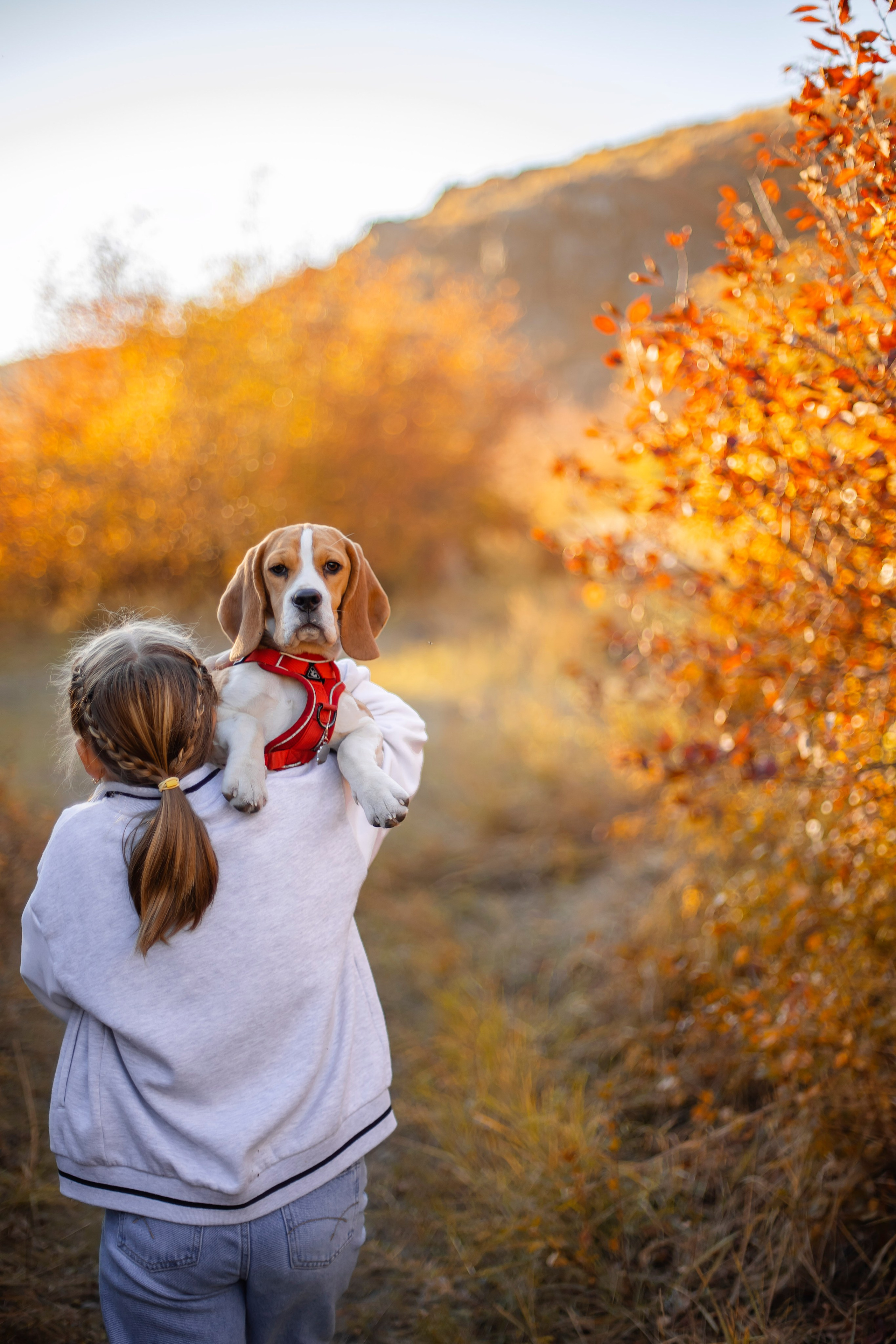 Софья & Боня. Фотограф Григорьева Ольга. Портретная, семейная съёмка, Love Stori, видеосъёмка в городе Чита. Выпускные альбомы, фотокниги