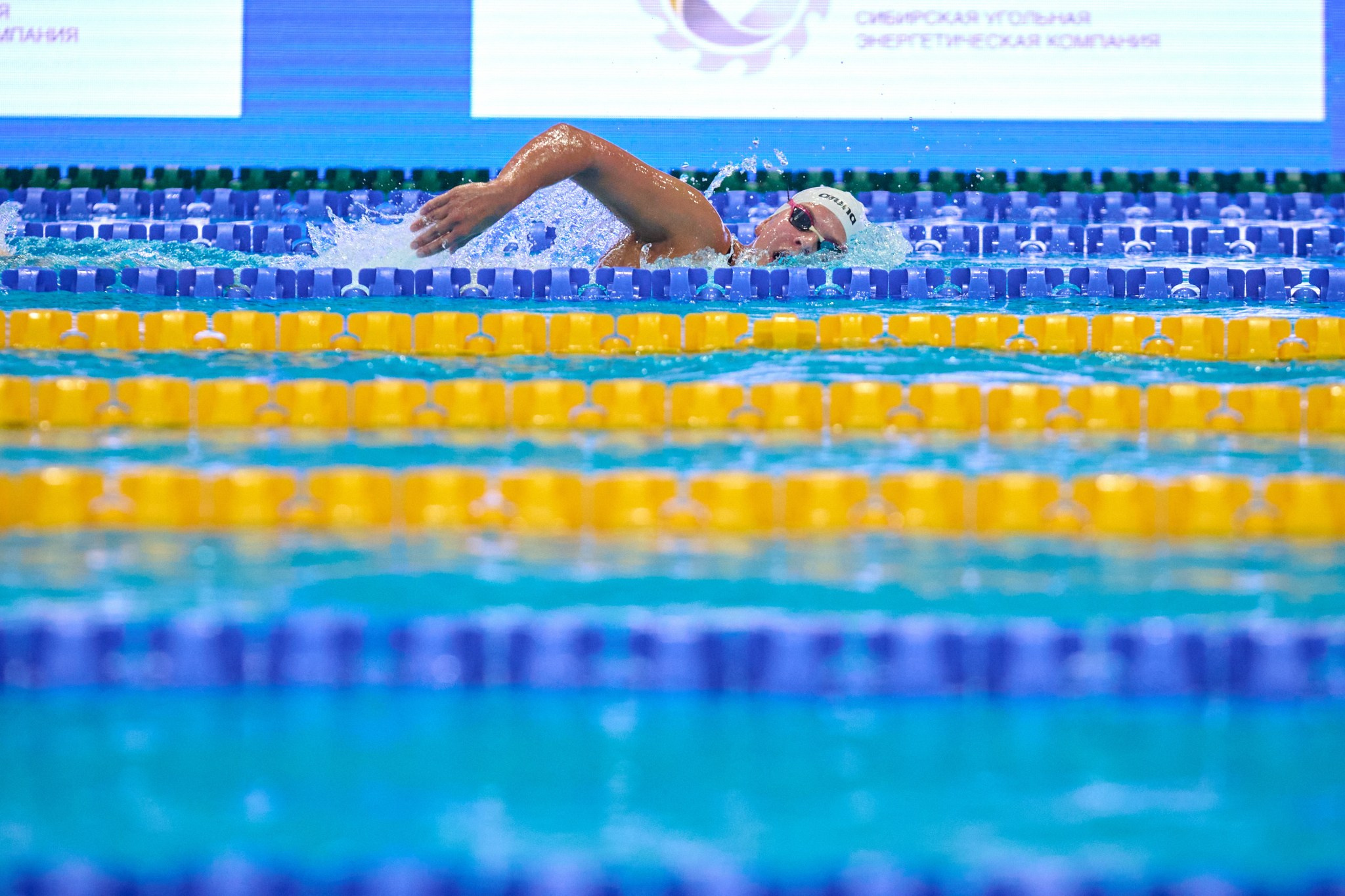 Кубок России по плаванию 2024 г. Екатеринбург. Мезенцев Евгений фотограф