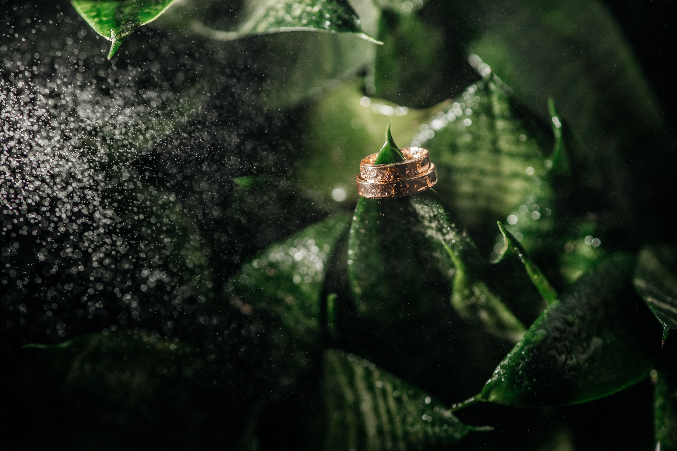 Фотограф в Барнауле Маргарита Бредихина