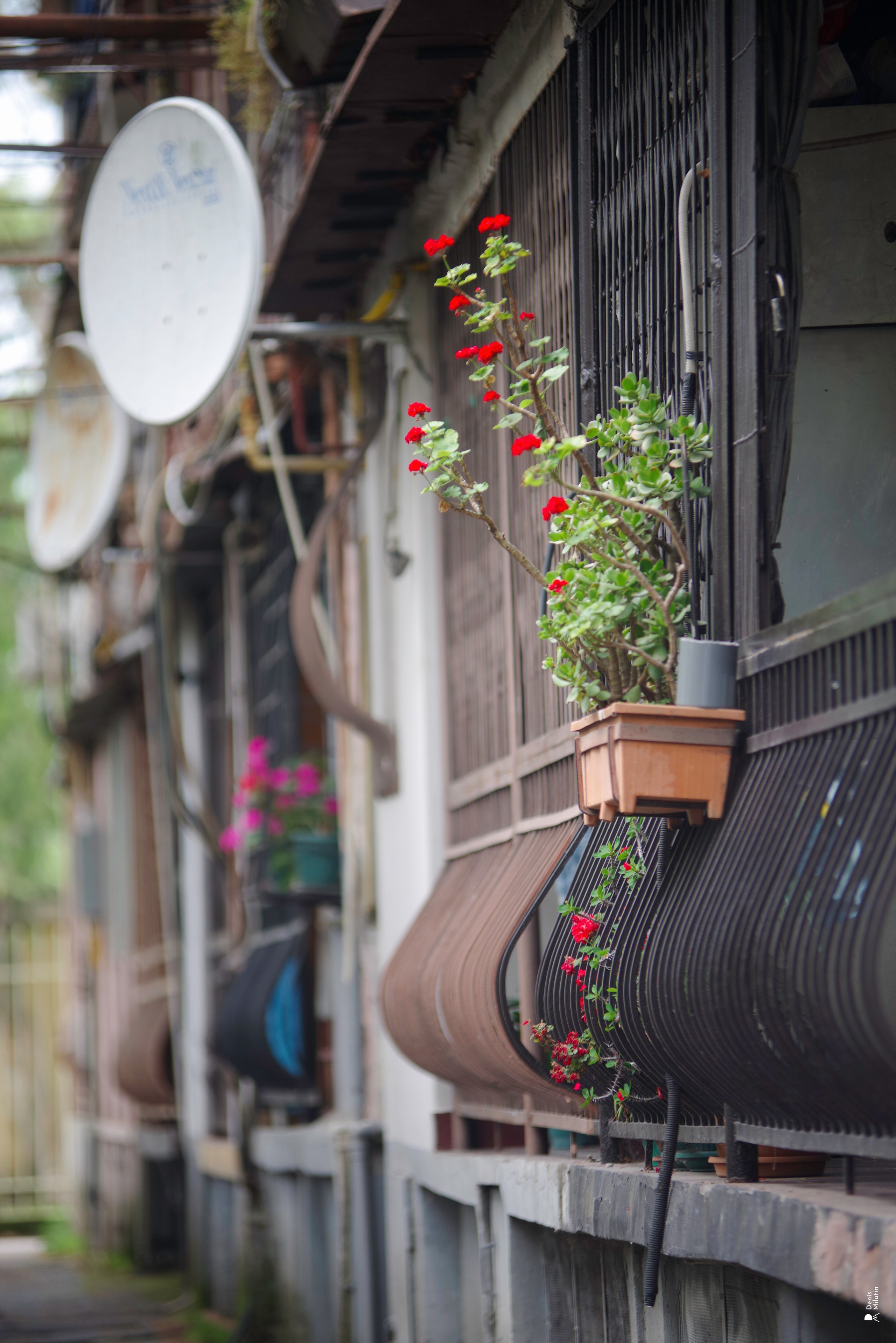 Batumi. Портретный фотограф Денис Милютин