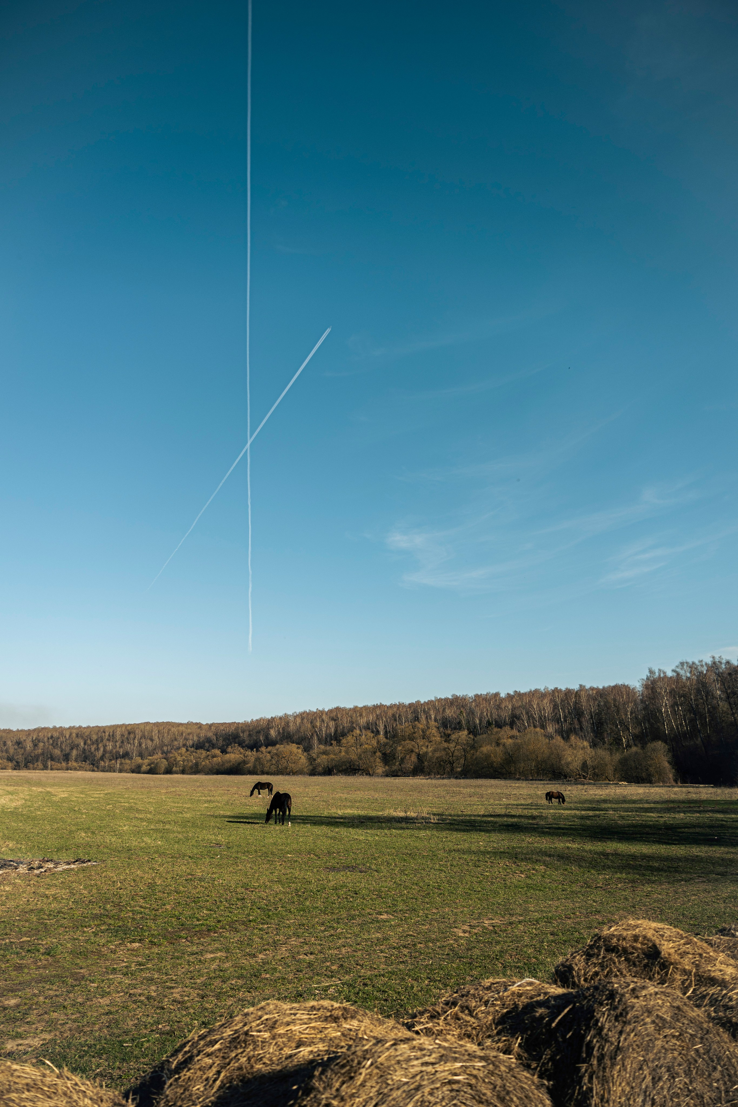 Май, Природа. Фотограф в Москве Алексей Вовк