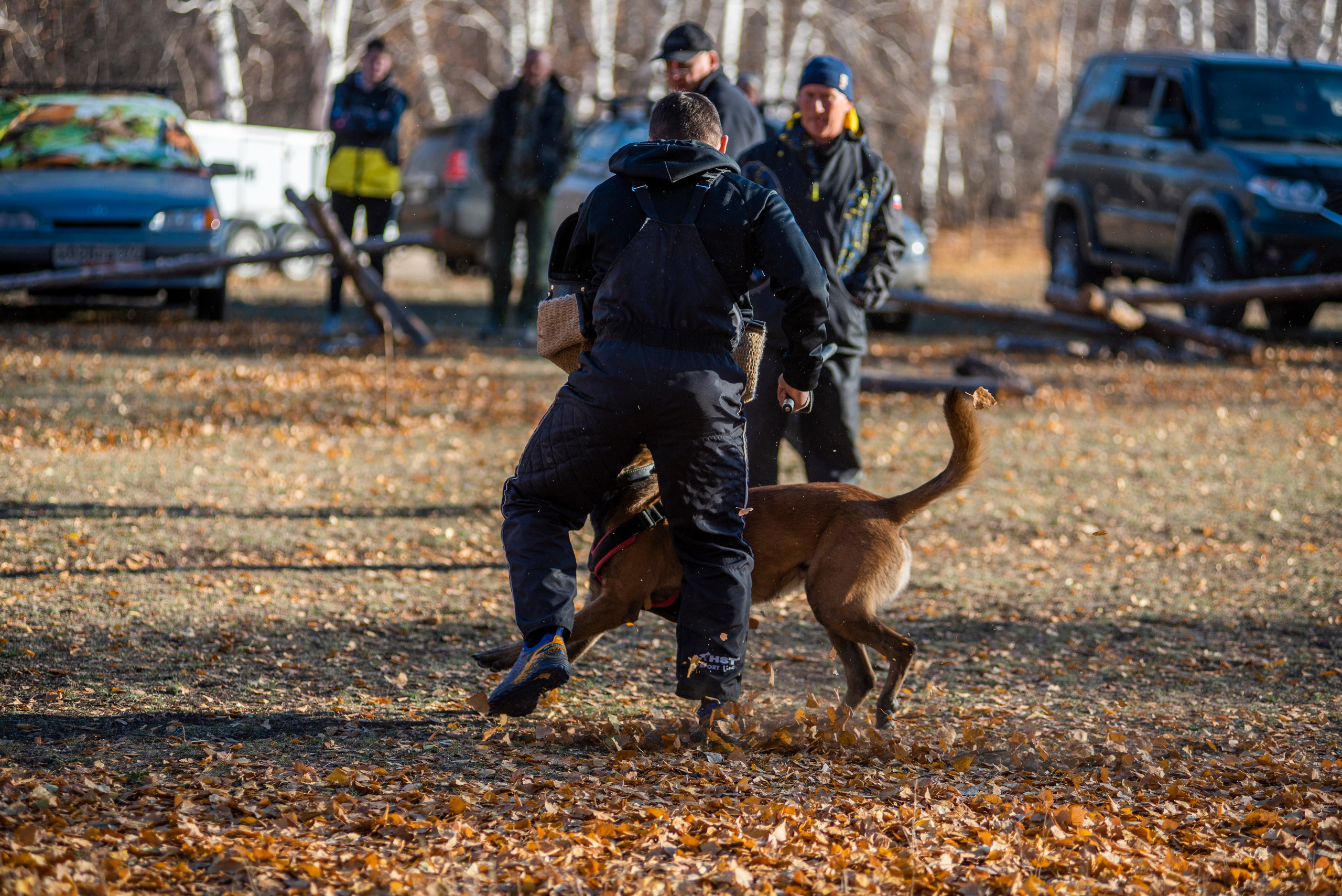 RUSSIAN HELPERS SCHOOL. Магнитогорск октябрь 2021. Дог-фотограф в Тюмени Александра Королева