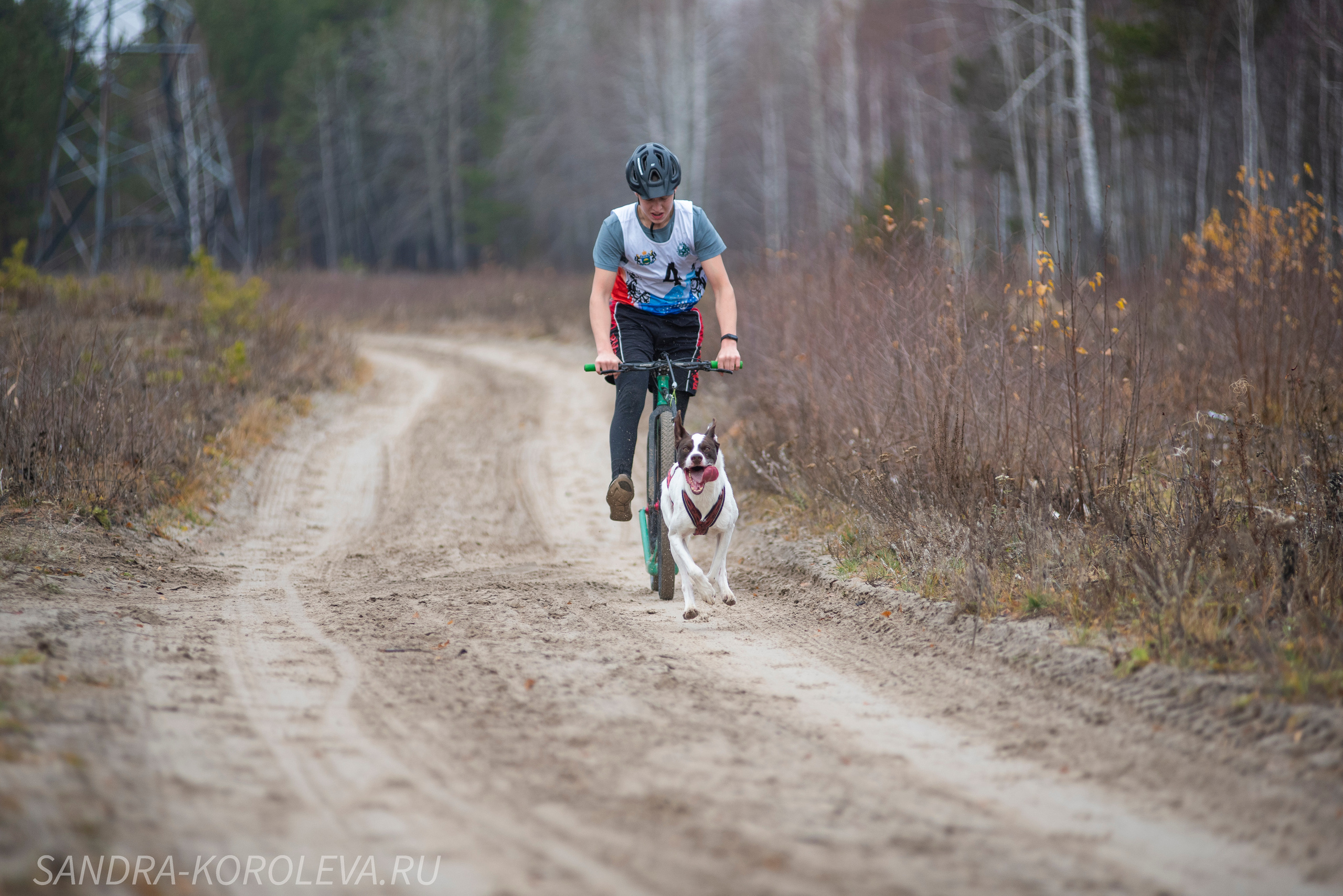 Спринт-гонка «Закрытие сезона» 24.10.2021. Дог-фотограф в Тюмени Александра Королева