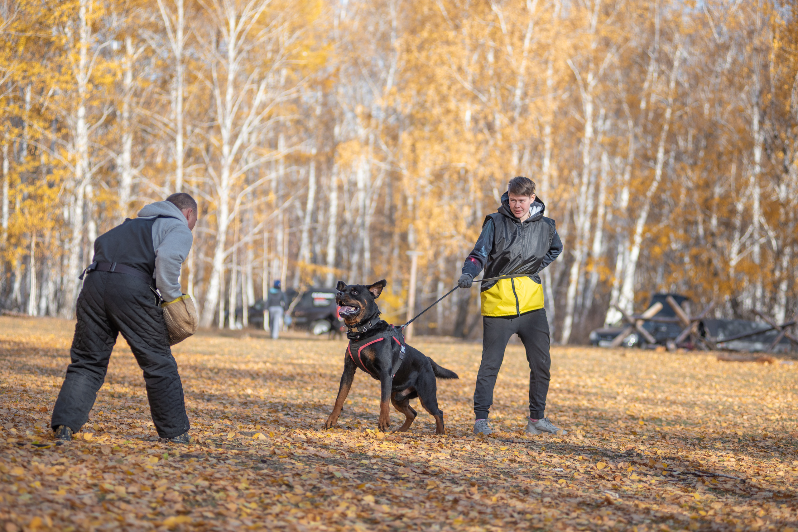 RUSSIAN HELPERS SCHOOL. Магнитогорск октябрь 2021. Дог-фотограф в Тюмени Александра Королева