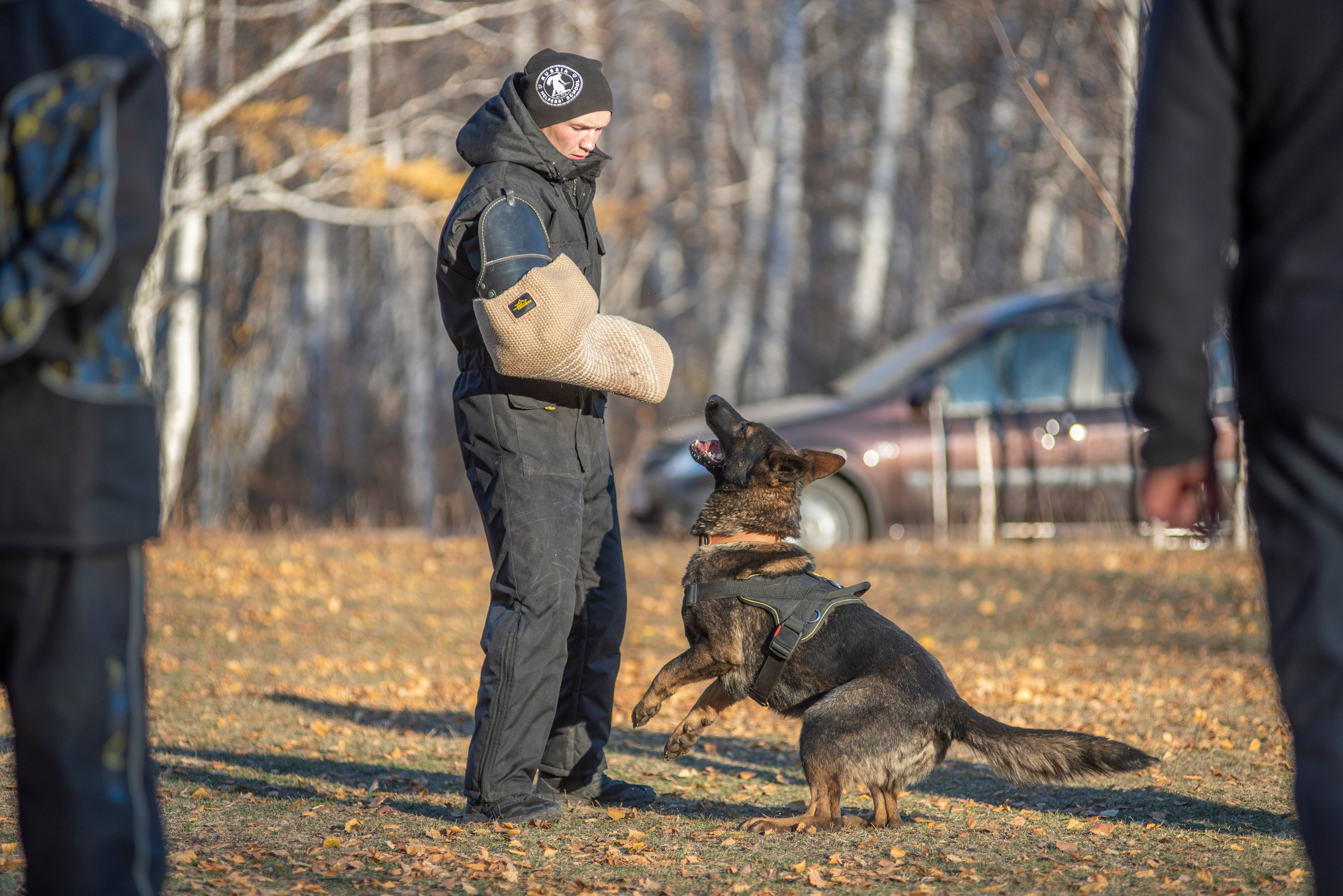 RUSSIAN HELPERS SCHOOL. Магнитогорск октябрь 2021. Дог-фотограф в Тюмени Александра Королева