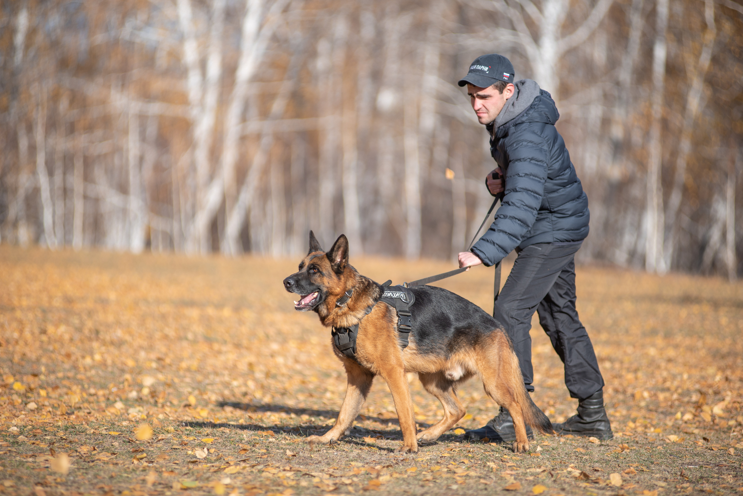 RUSSIAN HELPERS SCHOOL. Магнитогорск октябрь 2021. Дог-фотограф в Тюмени Александра Королева