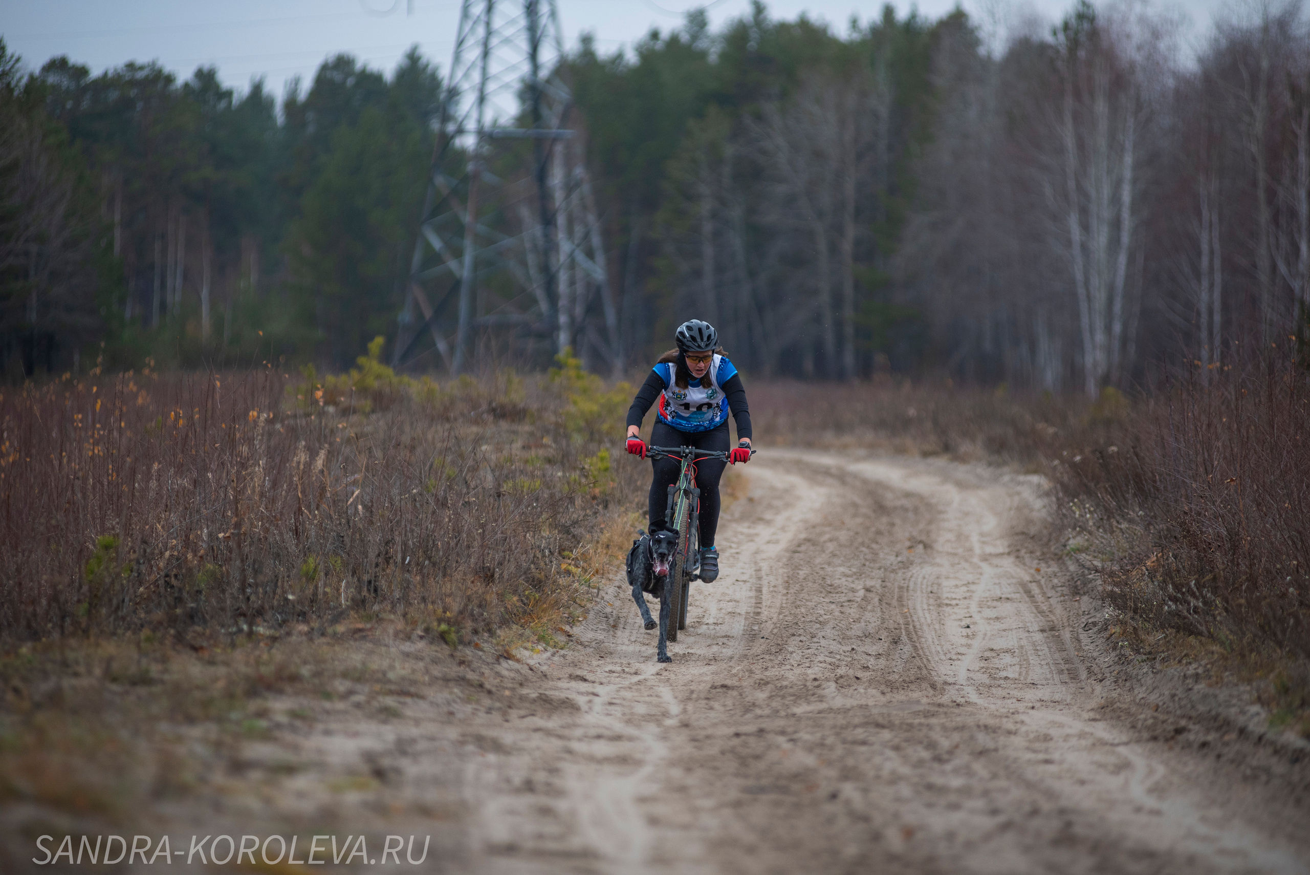 Спринт-гонка «Закрытие сезона» 24.10.2021. Дог-фотограф в Тюмени Александра Королева