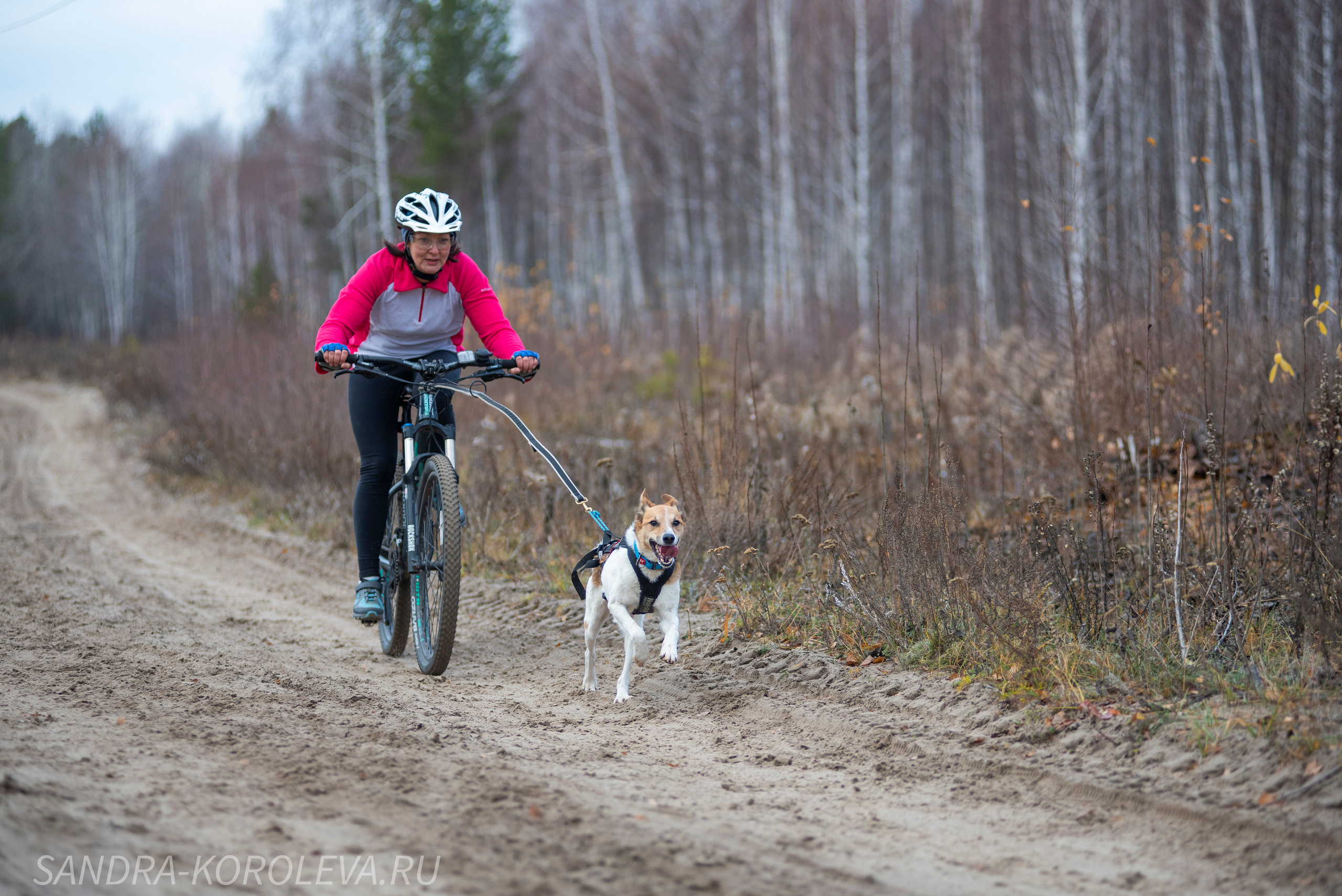 Спринт-гонка «Закрытие сезона» 24.10.2021. Дог-фотограф в Тюмени Александра Королева
