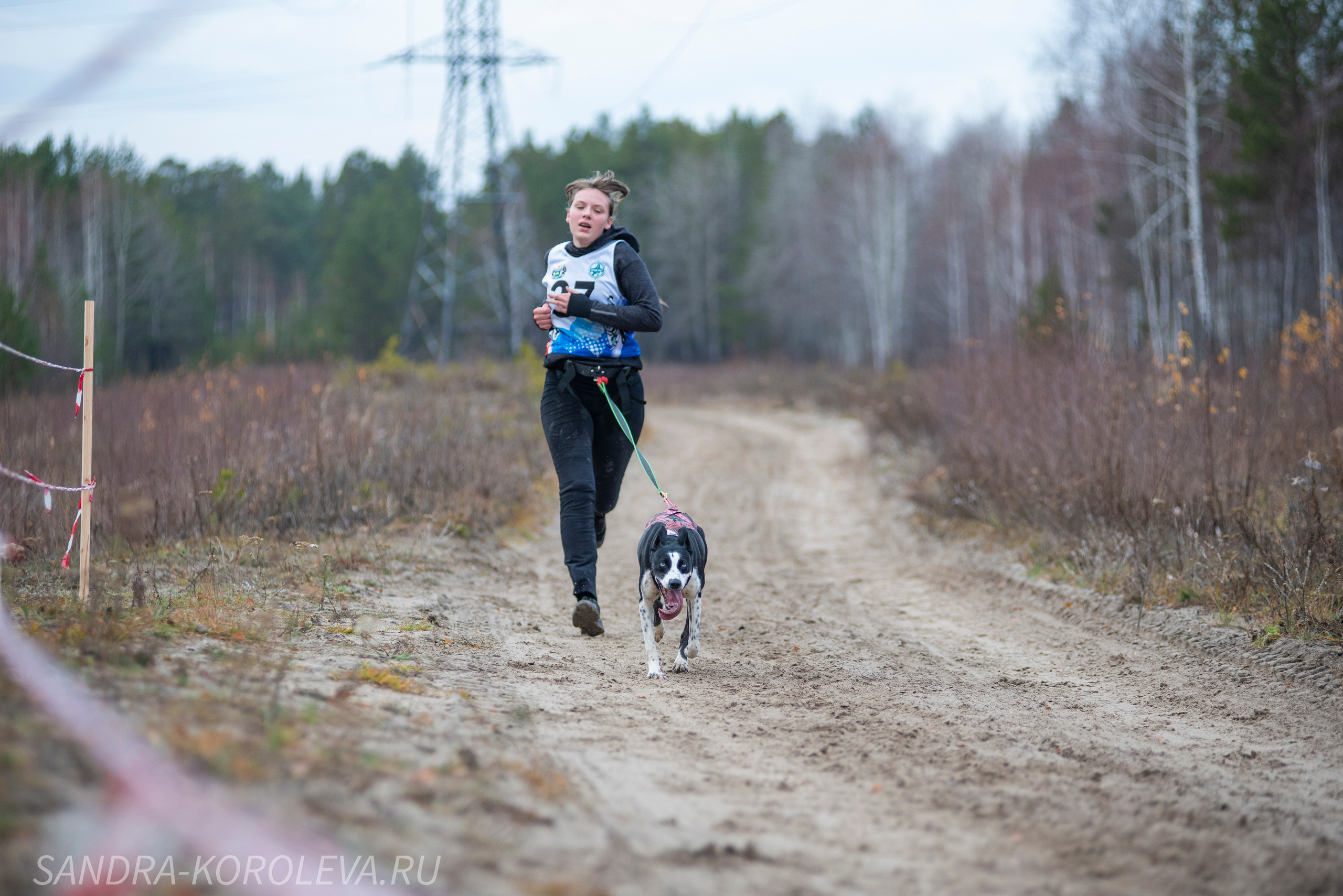 Спринт-гонка «Закрытие сезона» 24.10.2021. Дог-фотограф в Тюмени Александра Королева